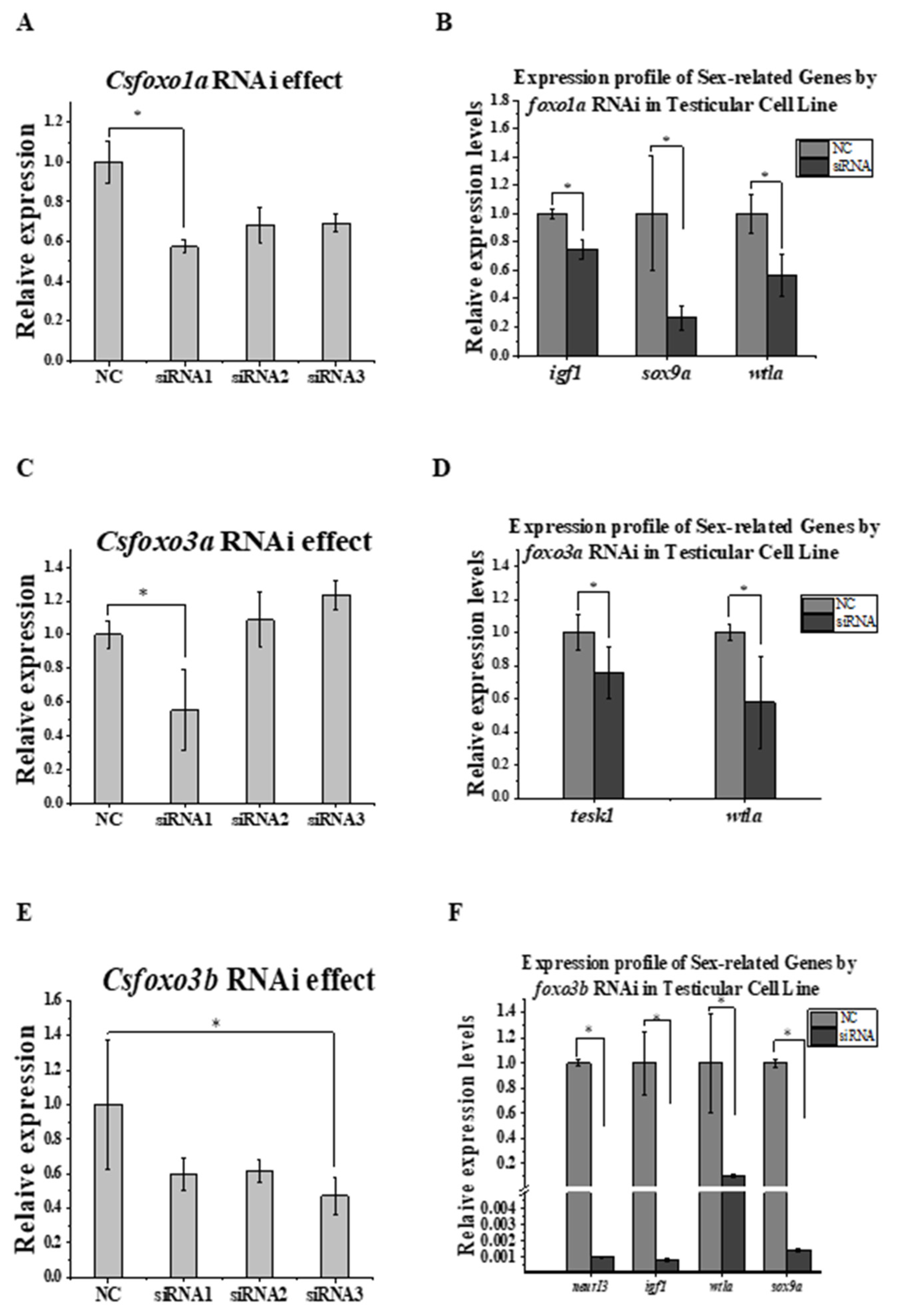 Ijms 24 07625 g006 Ijms 24 07625 g006