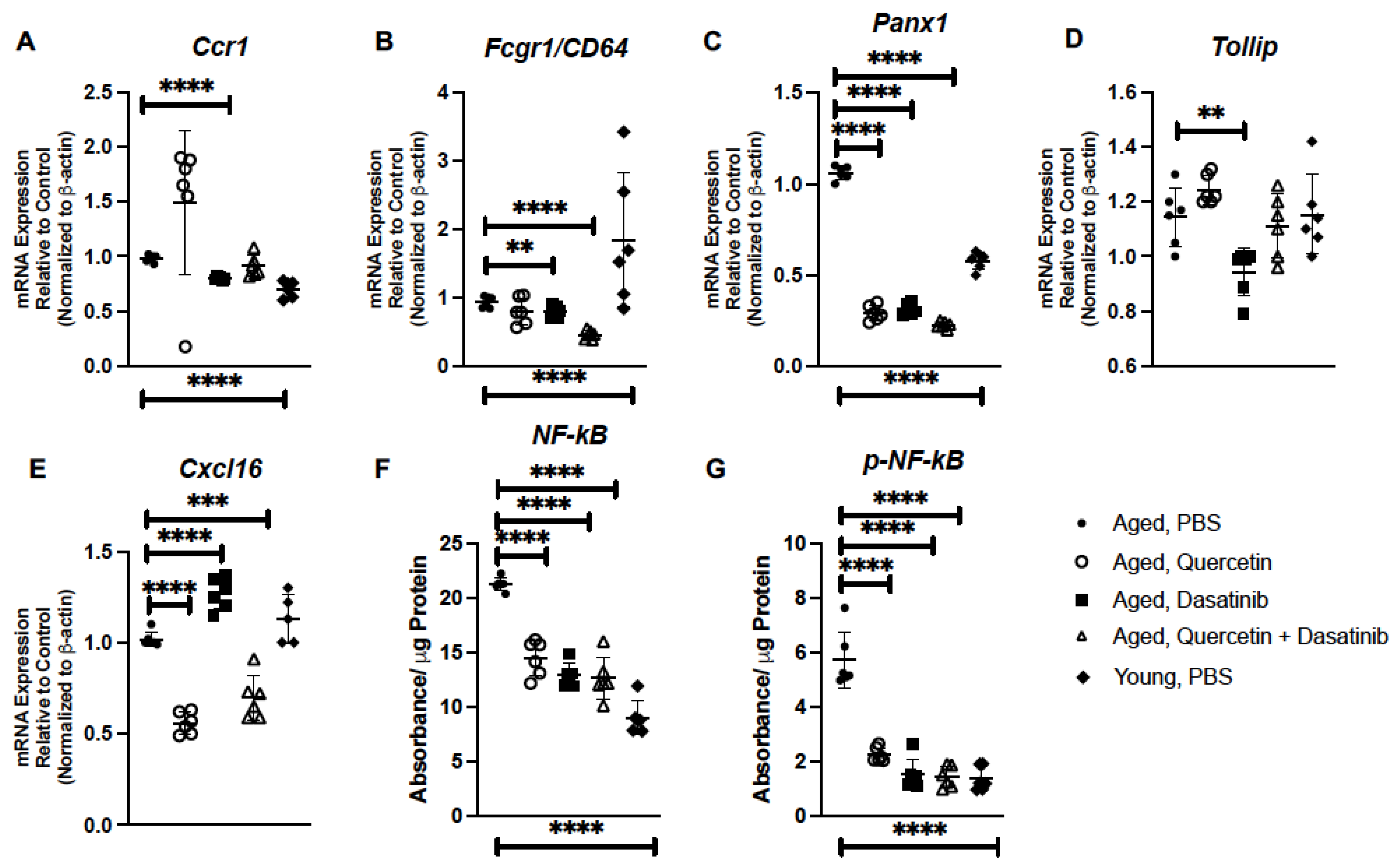 Ijms 24 07628 g005 Ijms 24 07628 g005