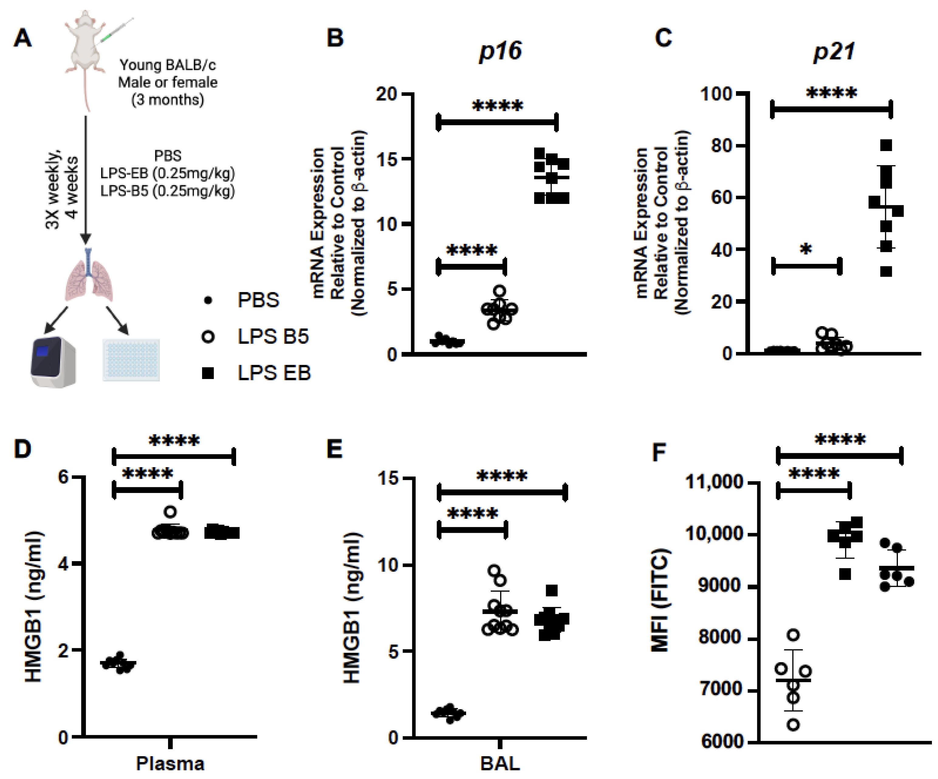 Ijms 24 07628 g006 Ijms 24 07628 g006