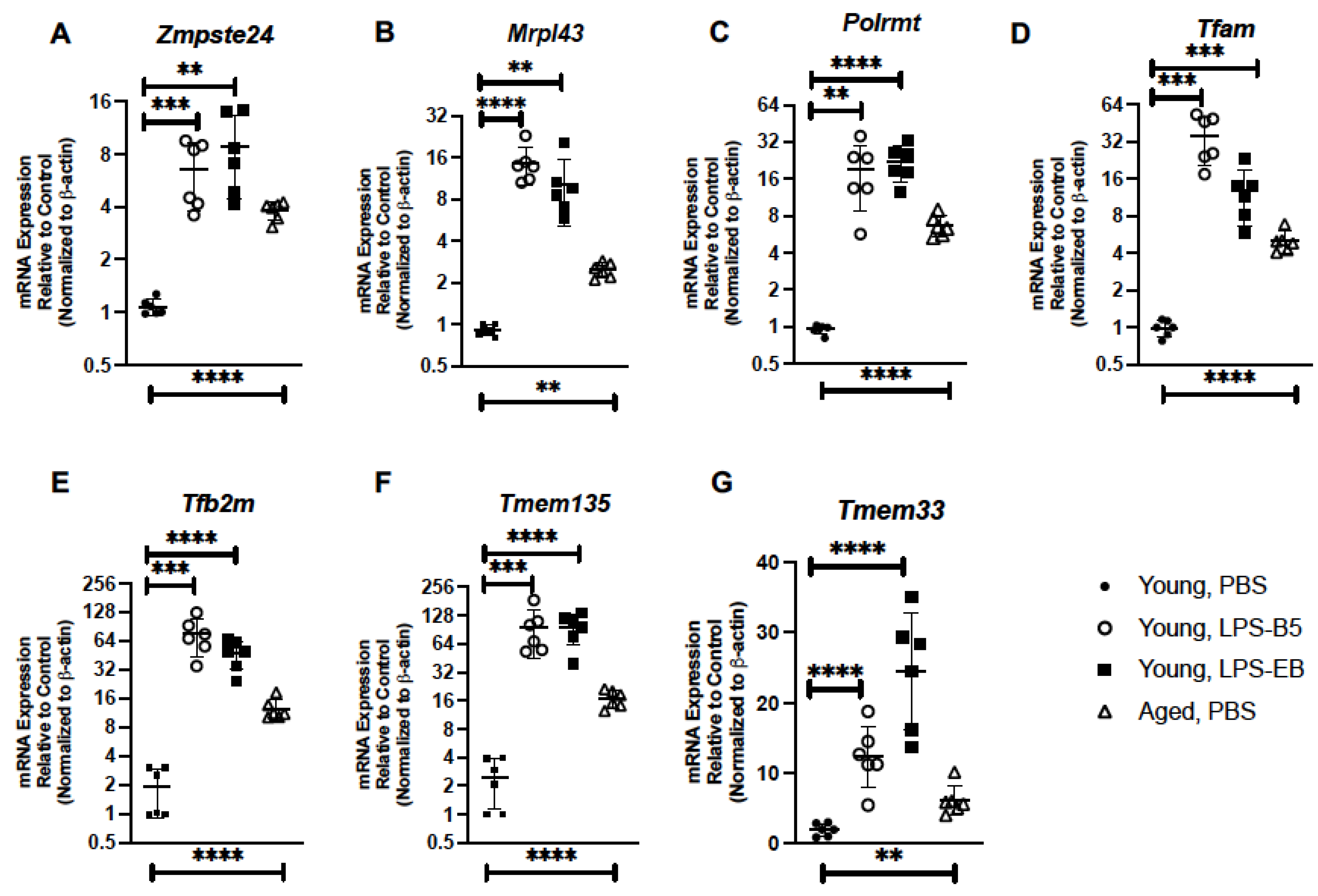 Ijms 24 07628 g007 Ijms 24 07628 g007