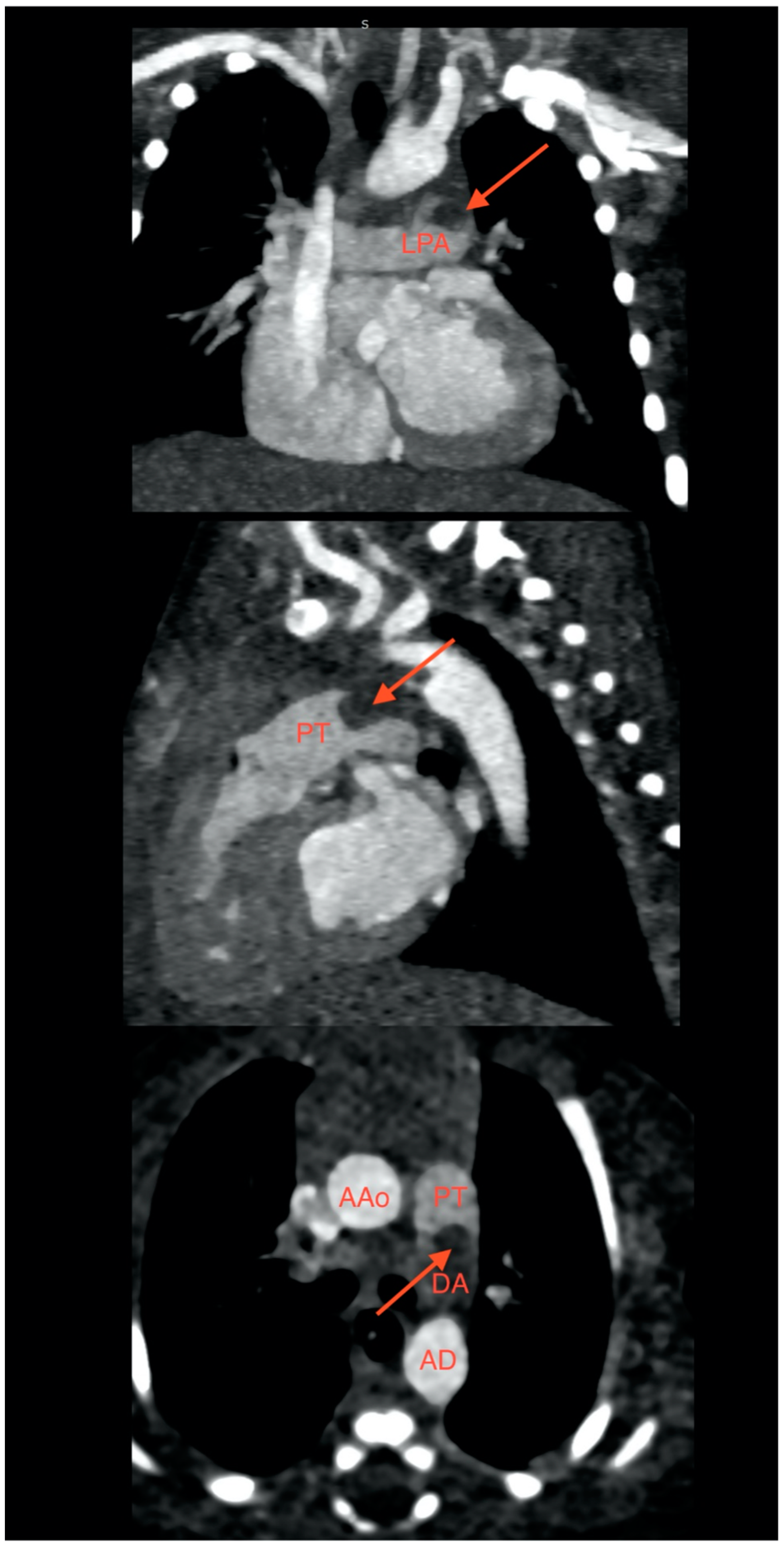 Ijms 24 07629 g001 Ijms 24 07629 g001