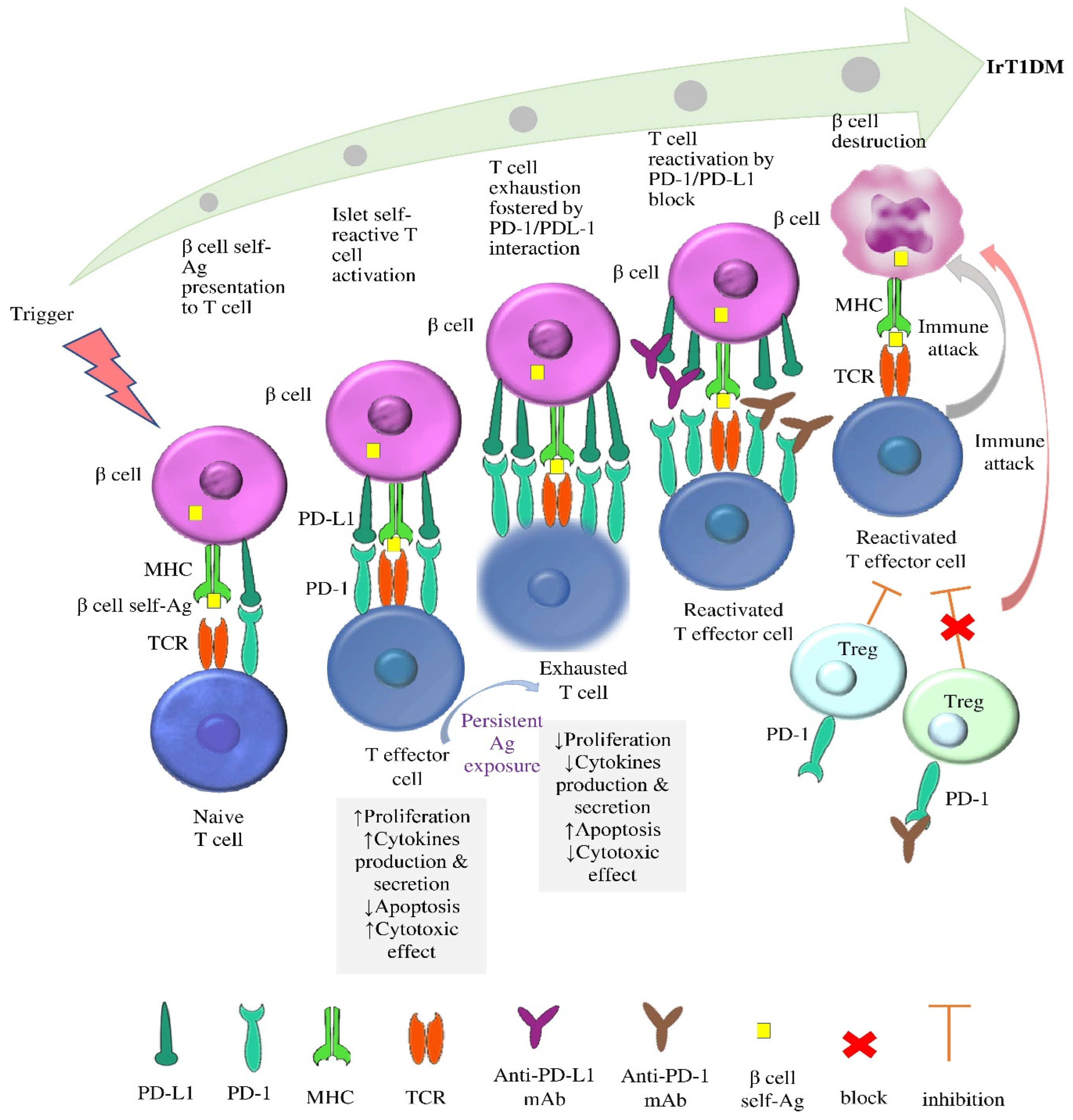 Ijms 24 07630 g003 Ijms 24 07630 g003