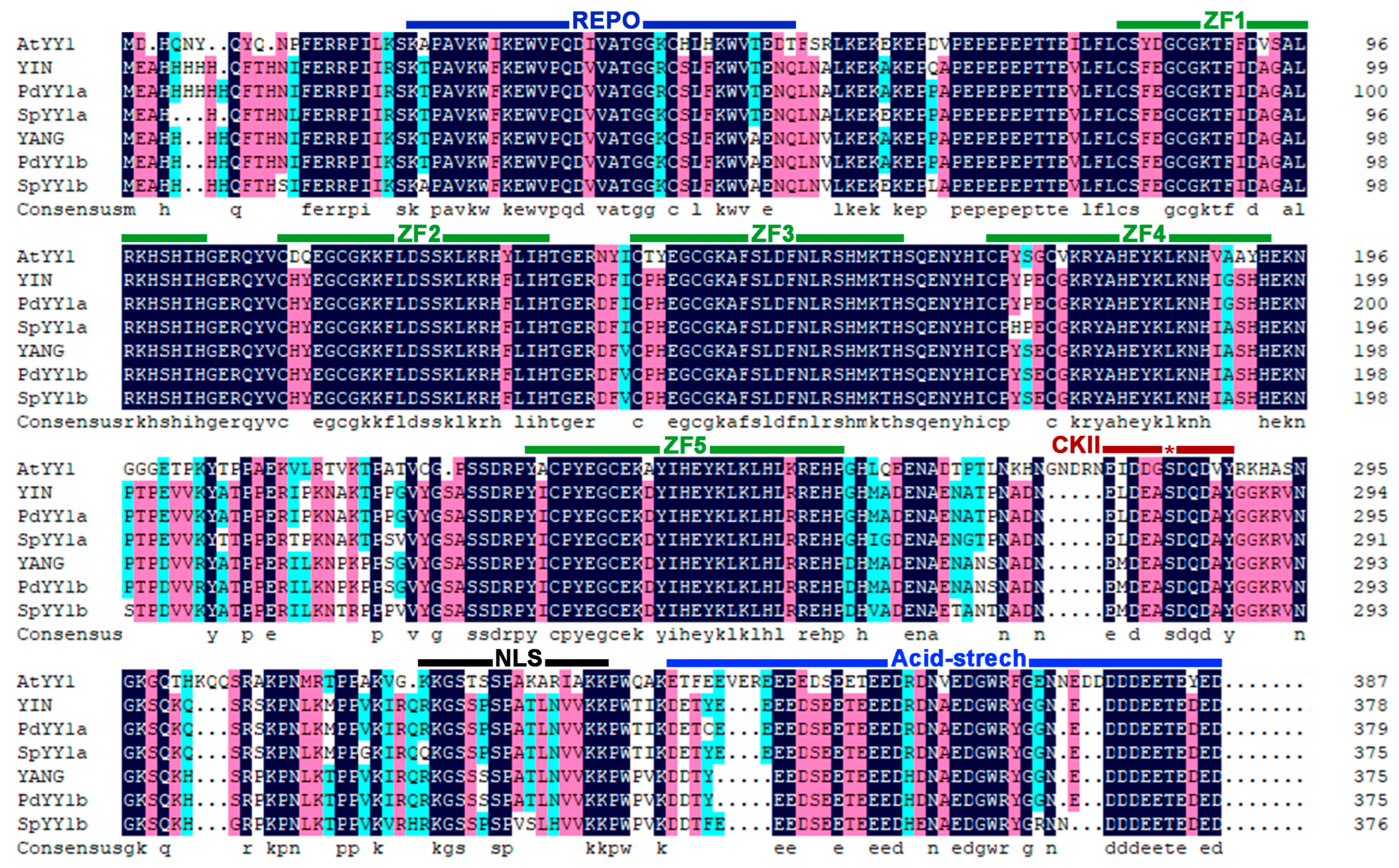 Ijms 24 07639 g002 Ijms 24 07639 g002