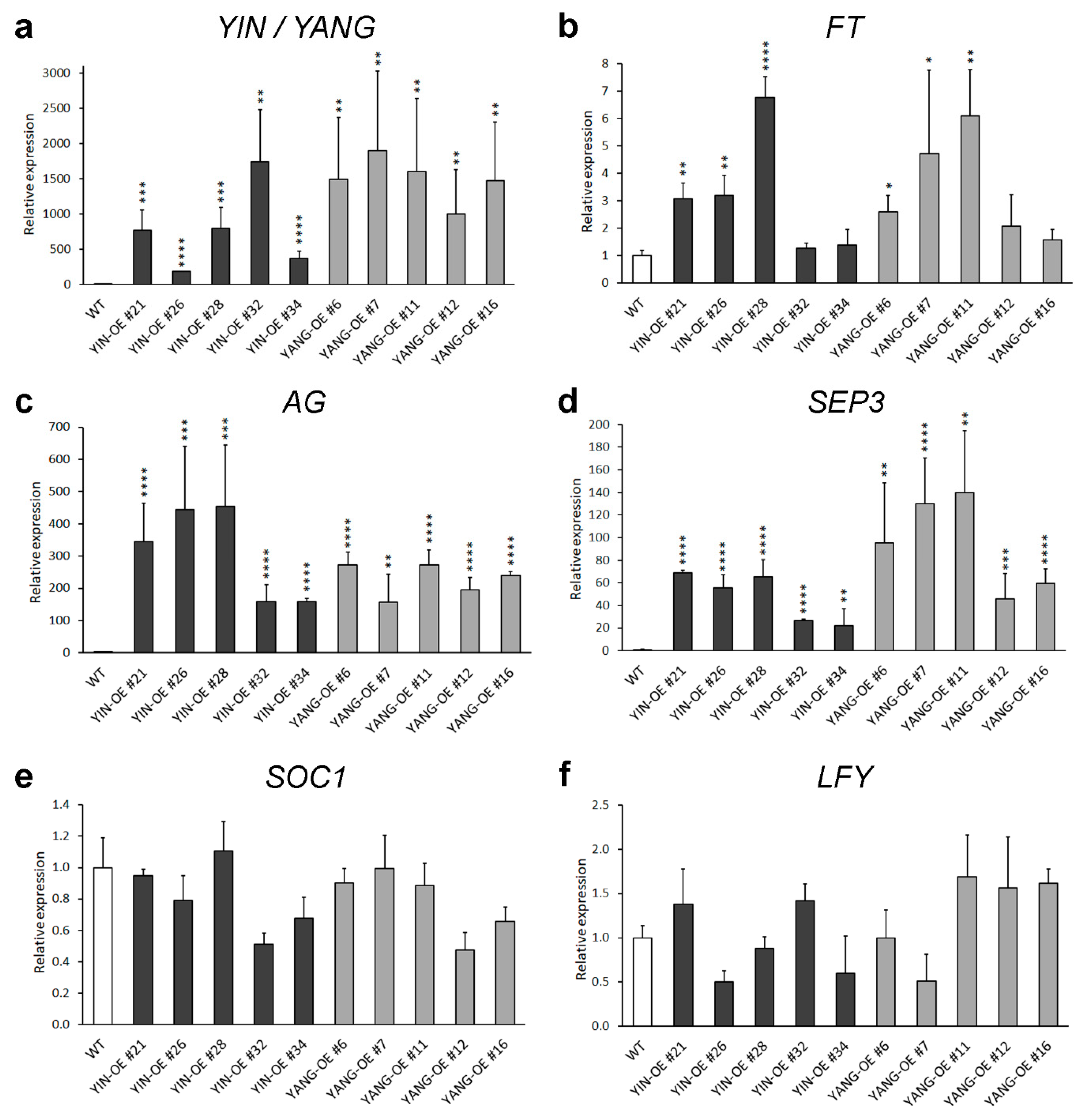 Ijms 24 07639 g006 Ijms 24 07639 g006