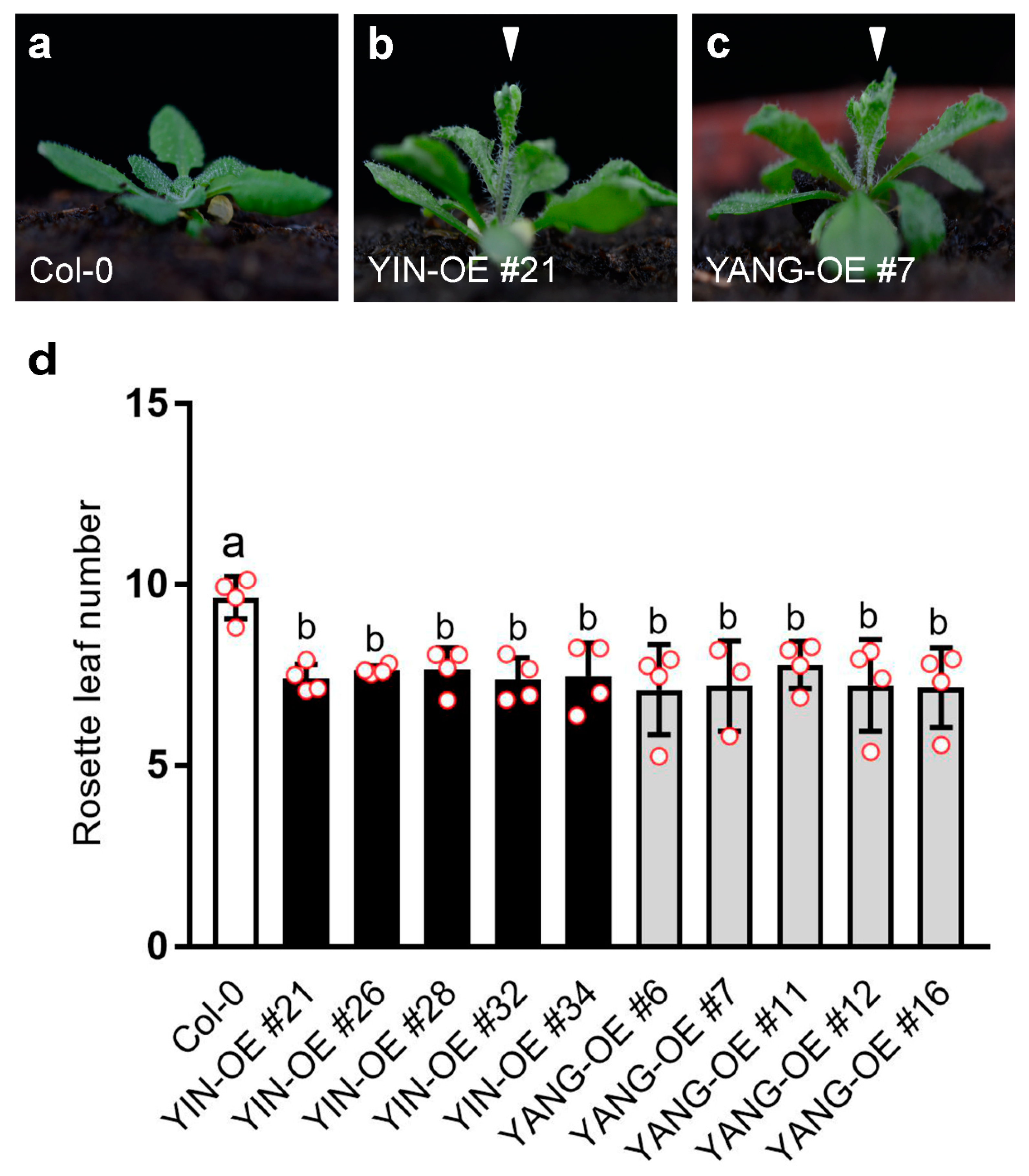 Ijms 24 07639 g007 Ijms 24 07639 g007
