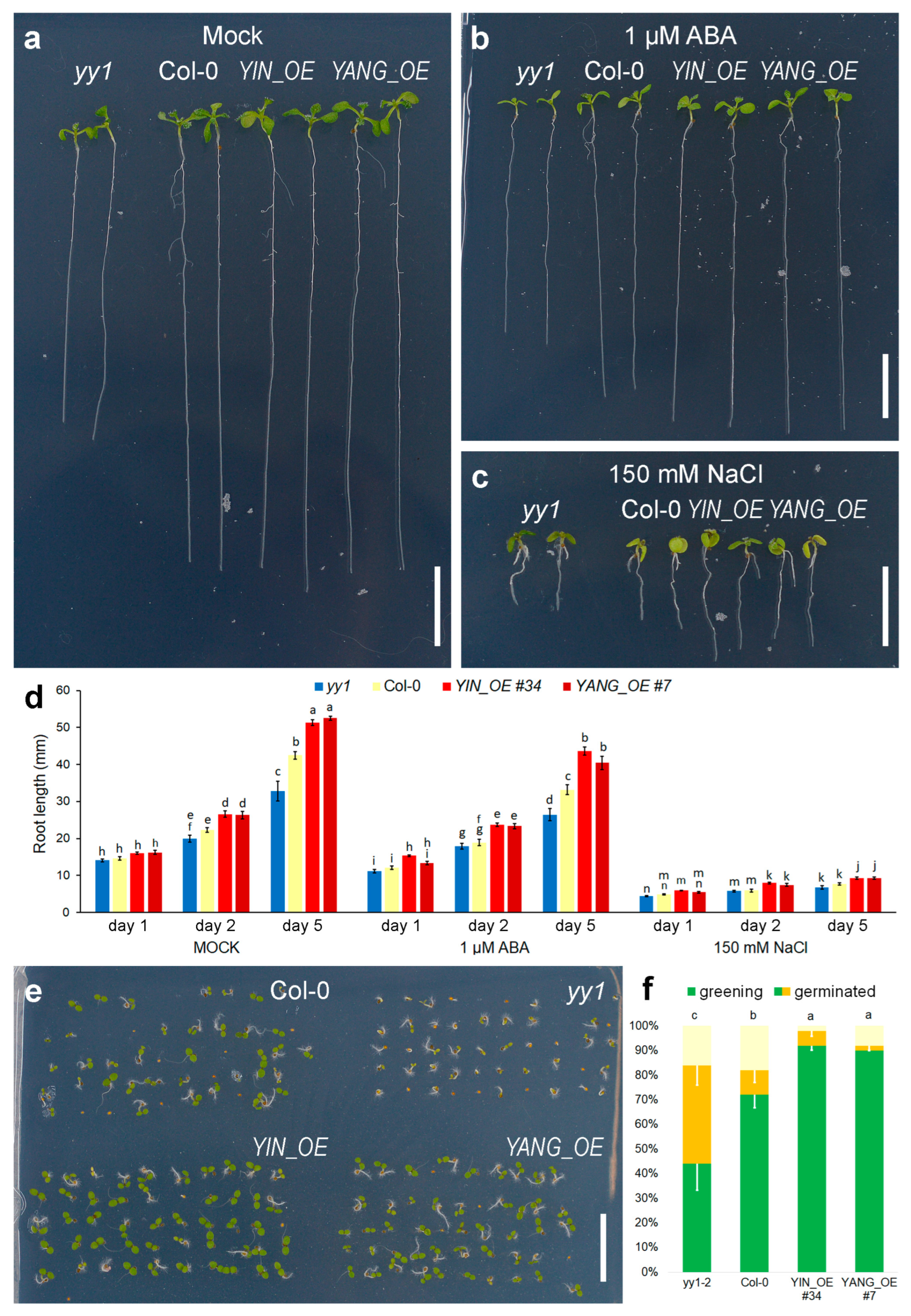 Ijms 24 07639 g008 Ijms 24 07639 g008
