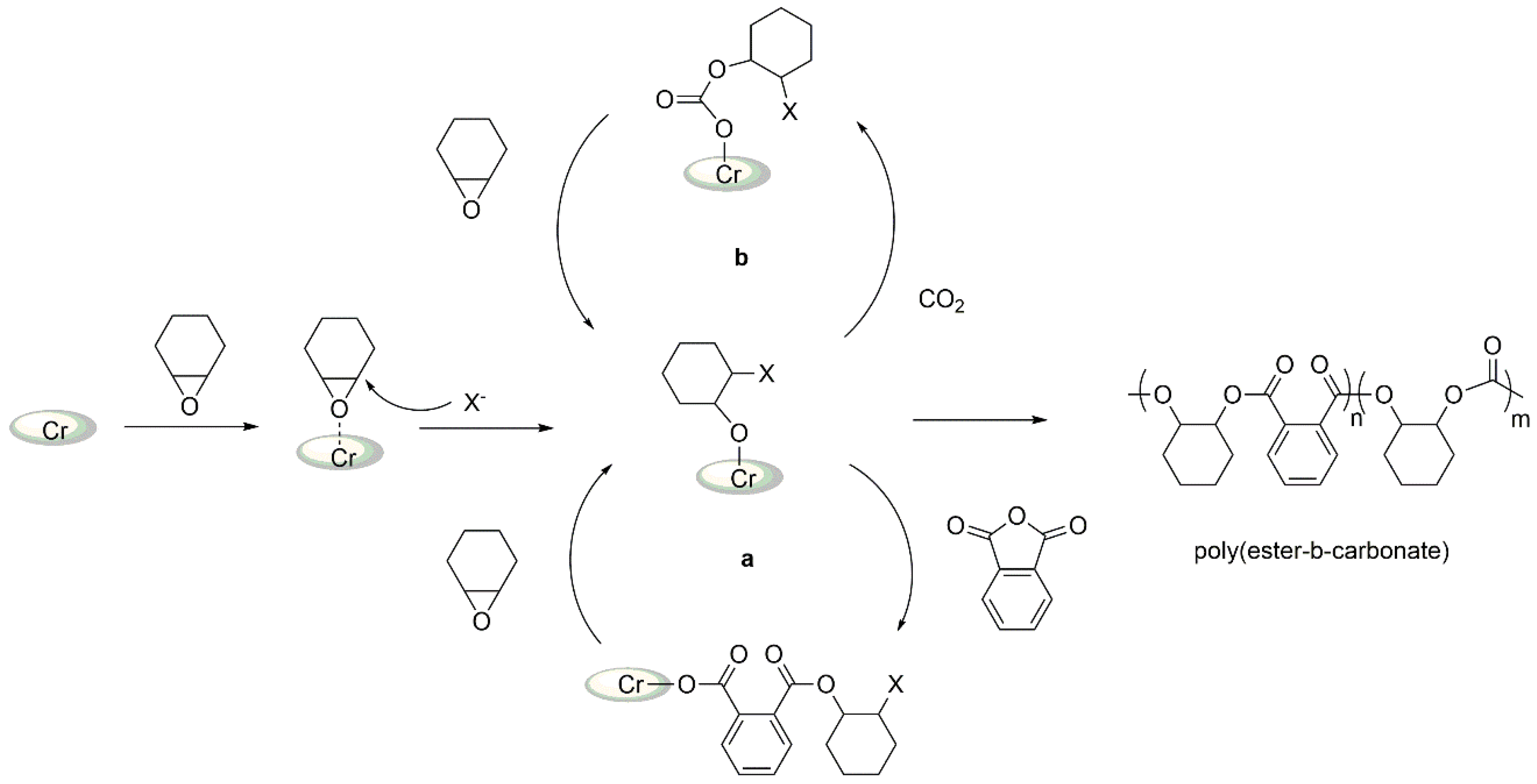 Ijms 24 07642 sch004 Ijms 24 07642 sch004