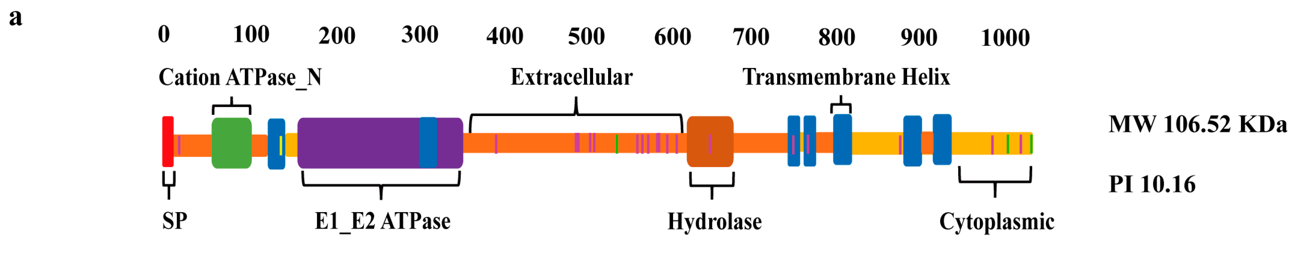 Ijms 24 07644 g001a Ijms 24 07644 g001a