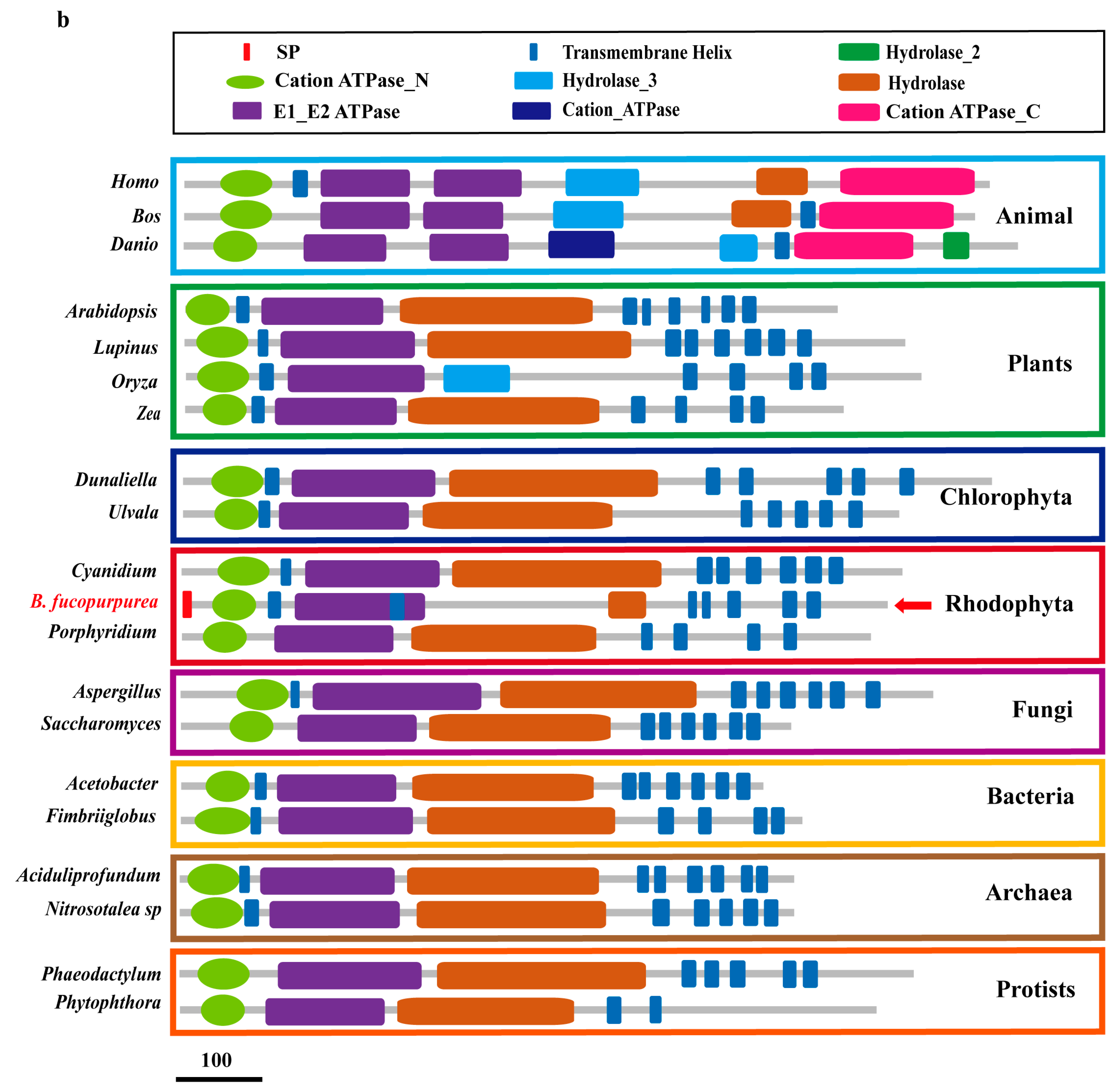 Ijms 24 07644 g001b Ijms 24 07644 g001b