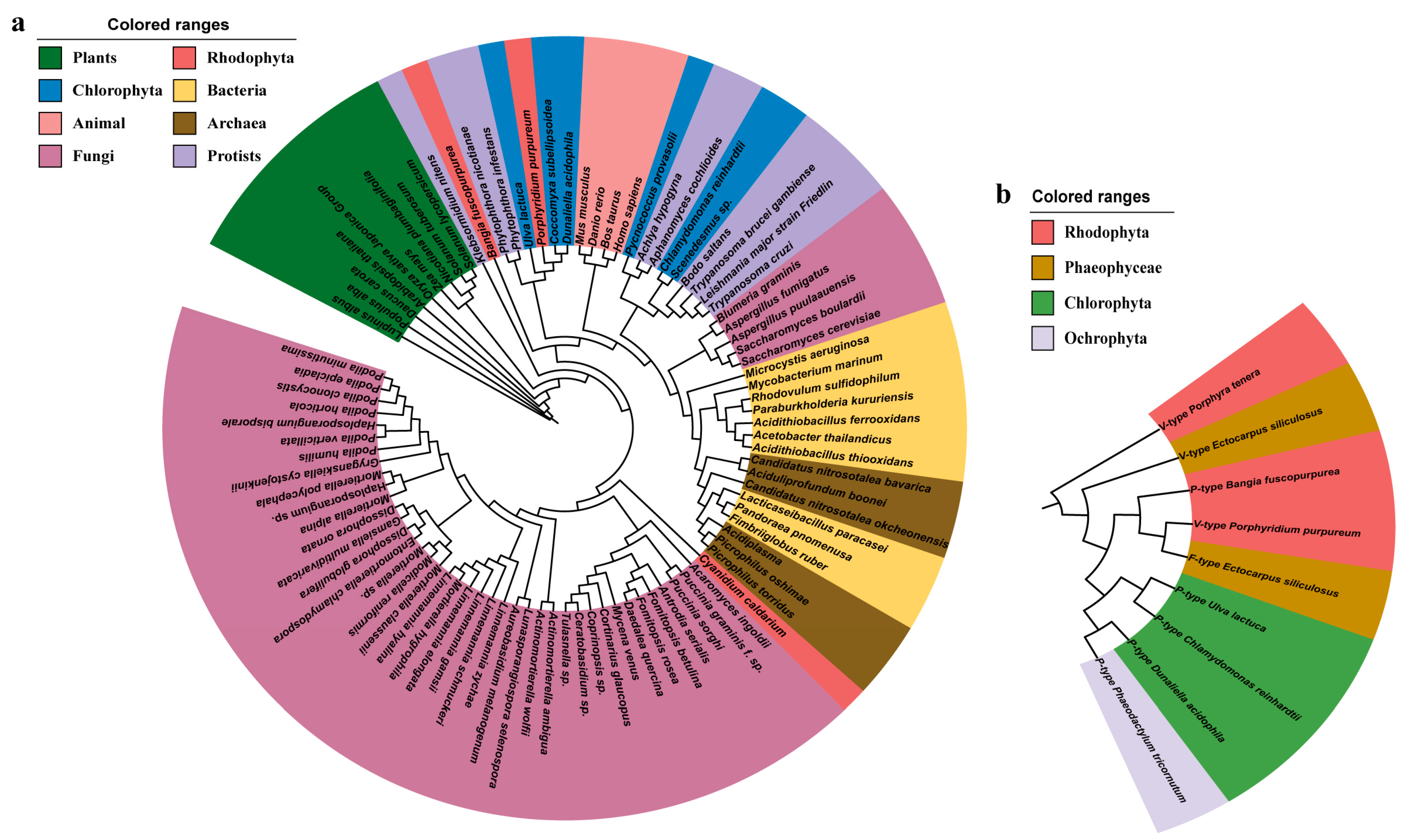 Ijms 24 07644 g002 Ijms 24 07644 g002
