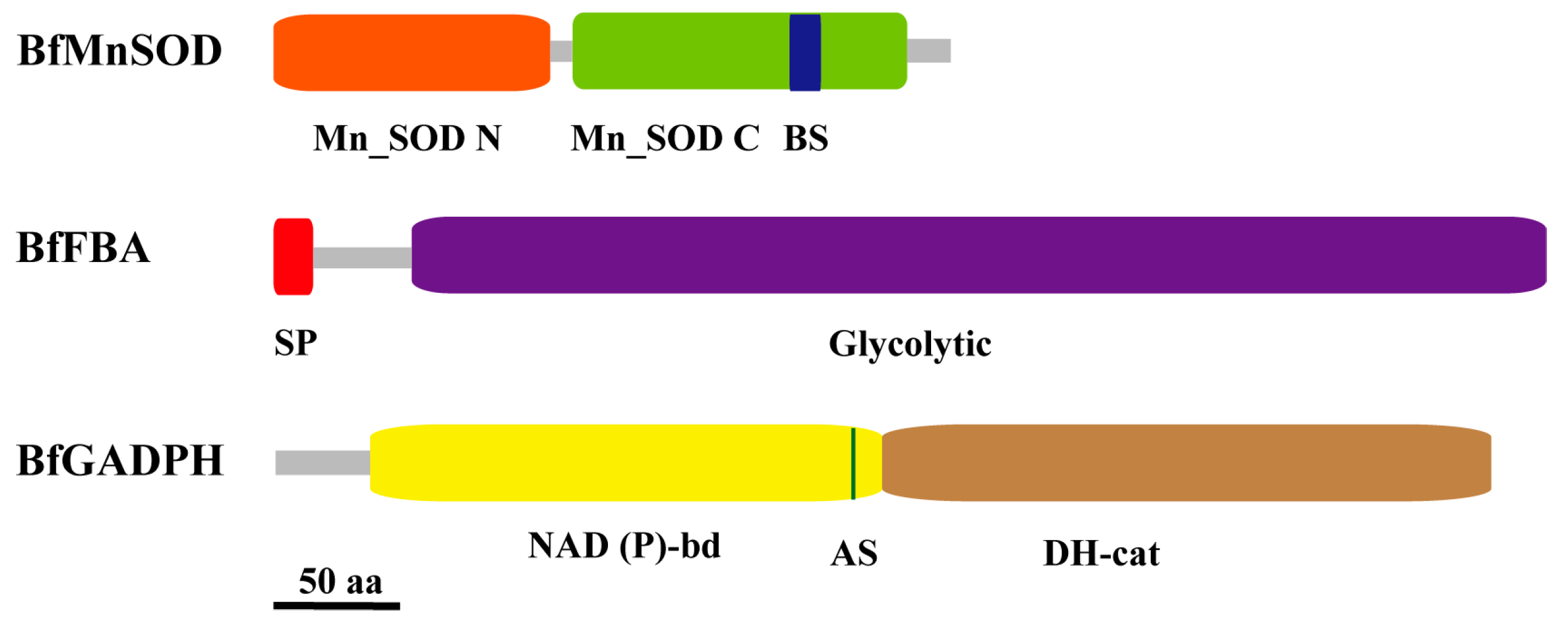 Ijms 24 07644 g005 Ijms 24 07644 g005