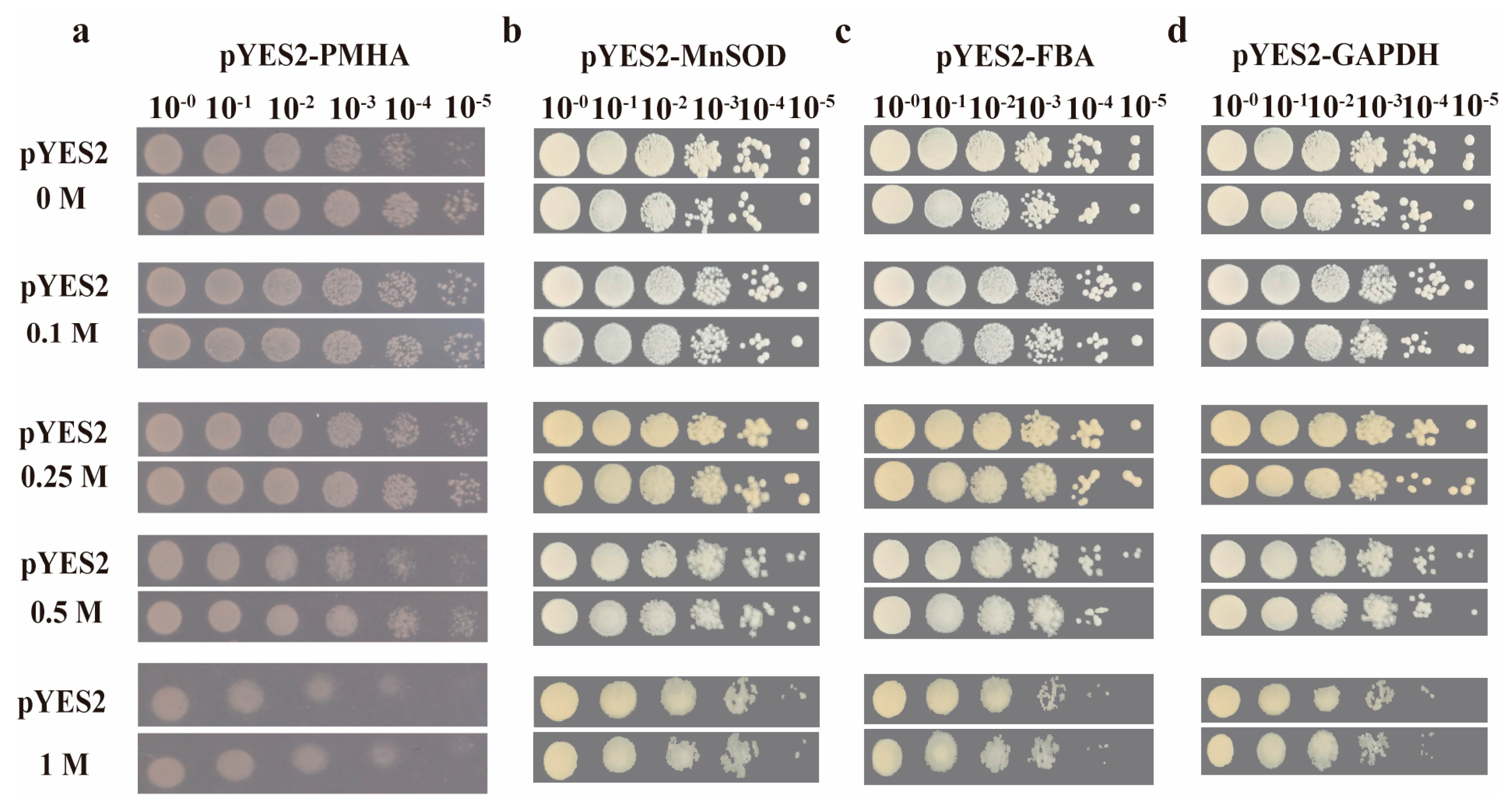 Ijms 24 07644 g007 Ijms 24 07644 g007