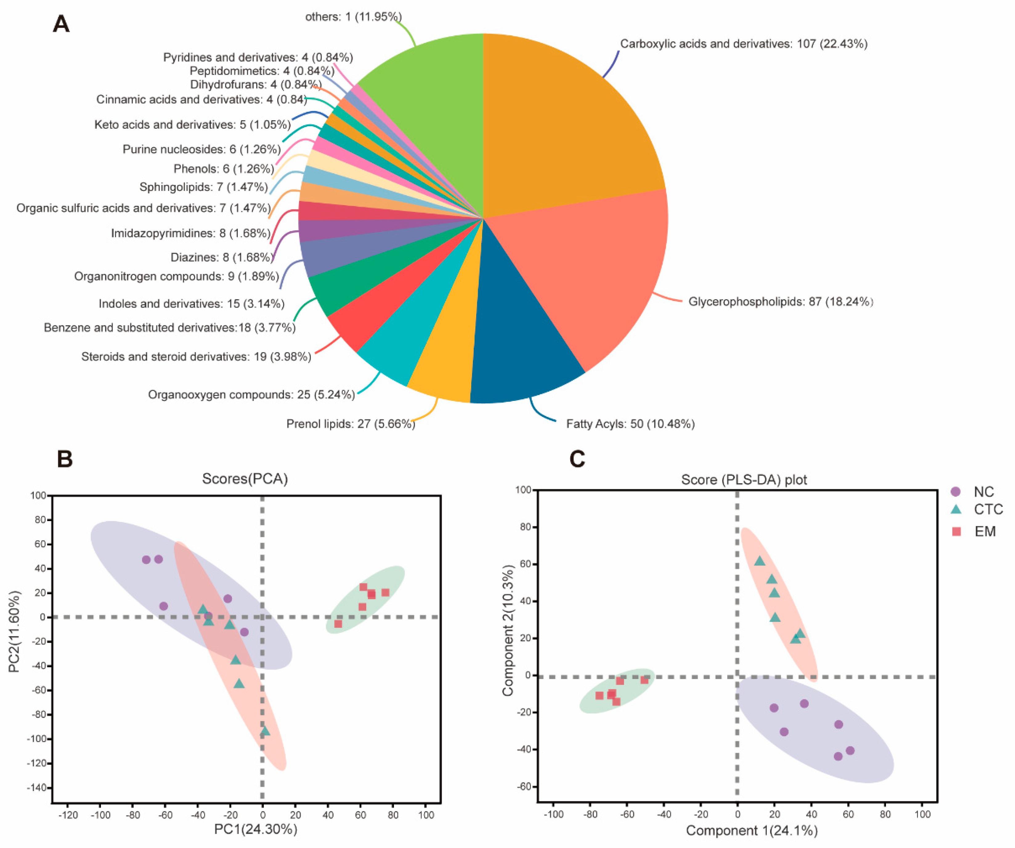 Ijms 24 07646 g006 Ijms 24 07646 g006
