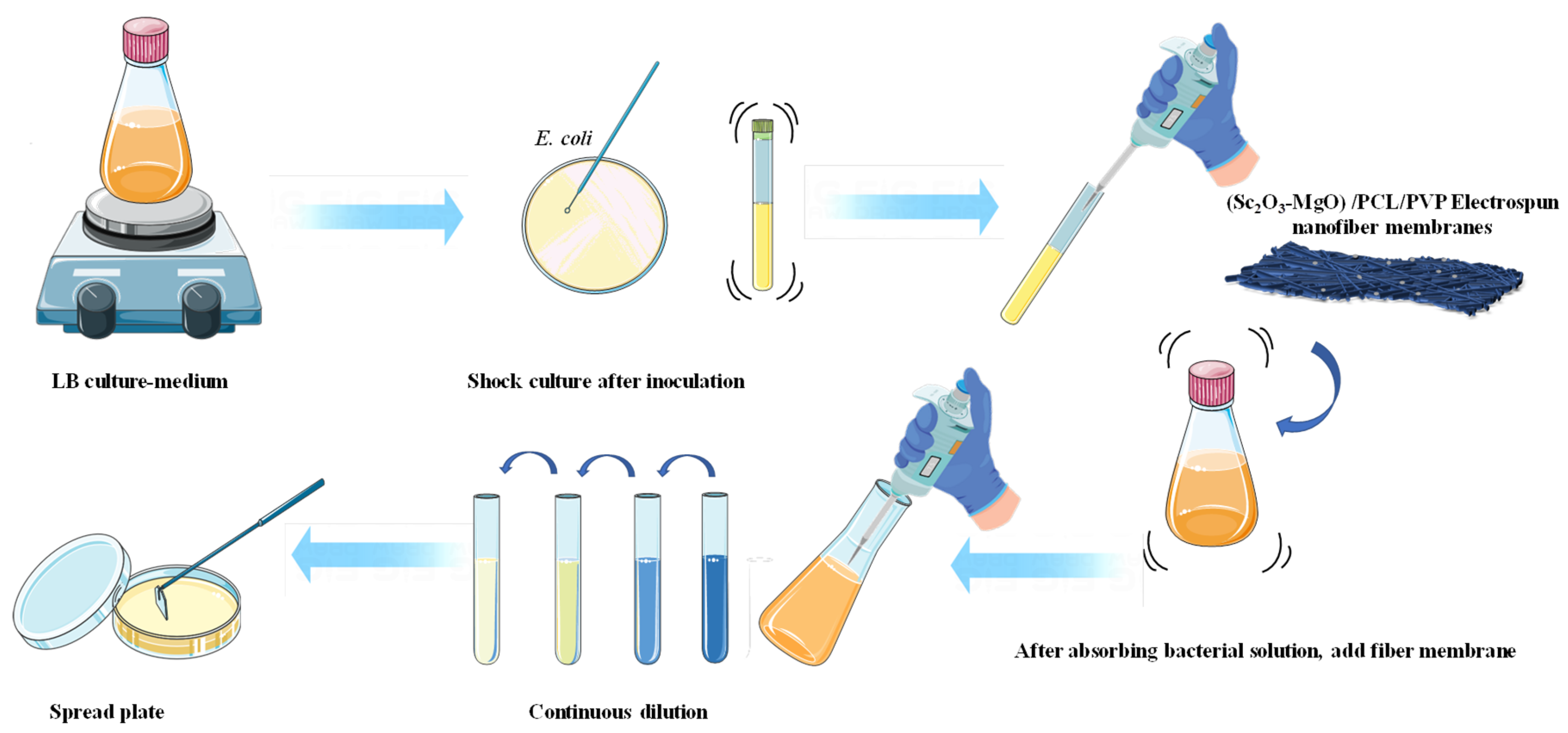 Ijms 24 07649 g007 Ijms 24 07649 g007