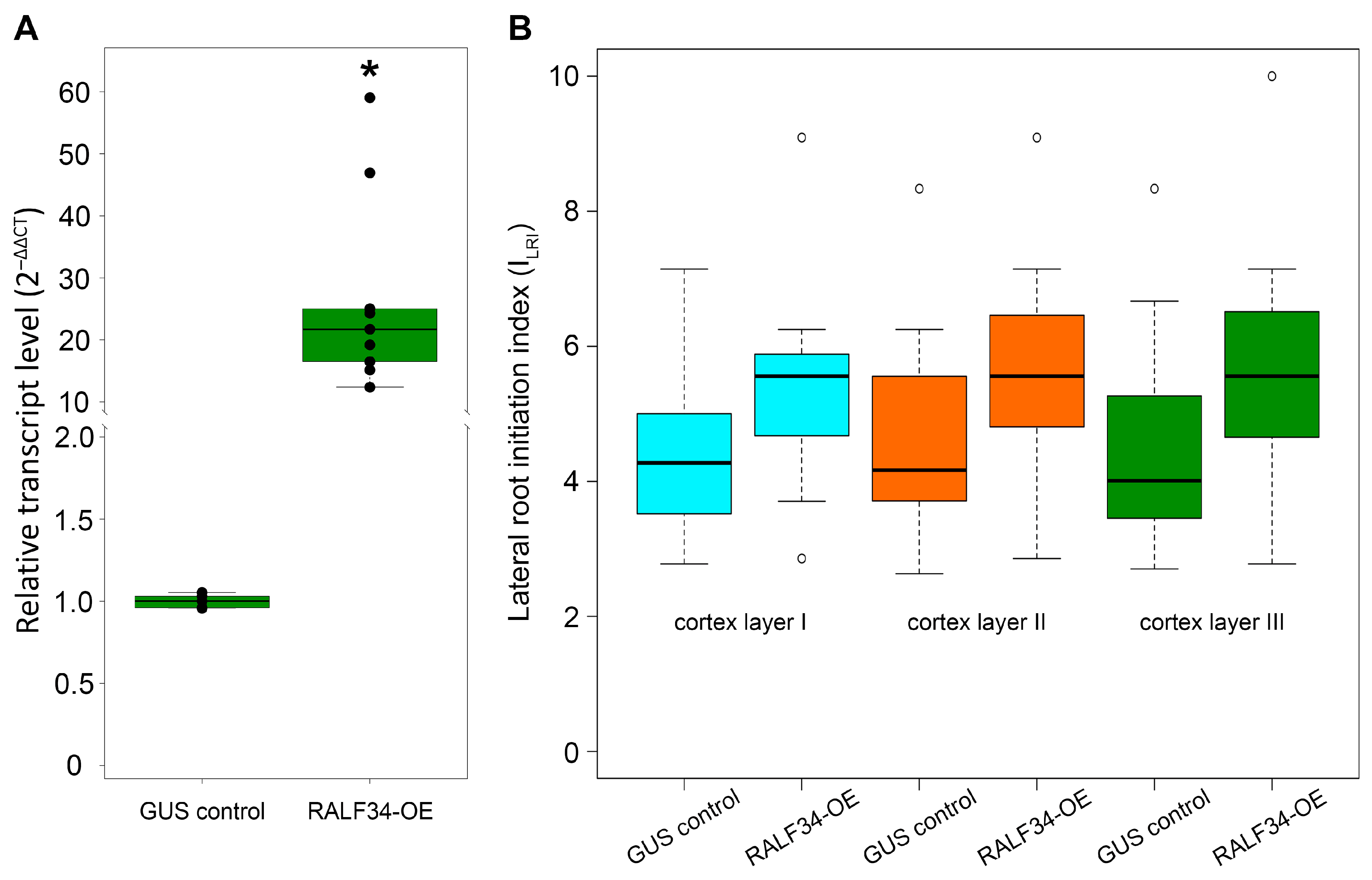 Ijms 24 07654 g001 Ijms 24 07654 g001
