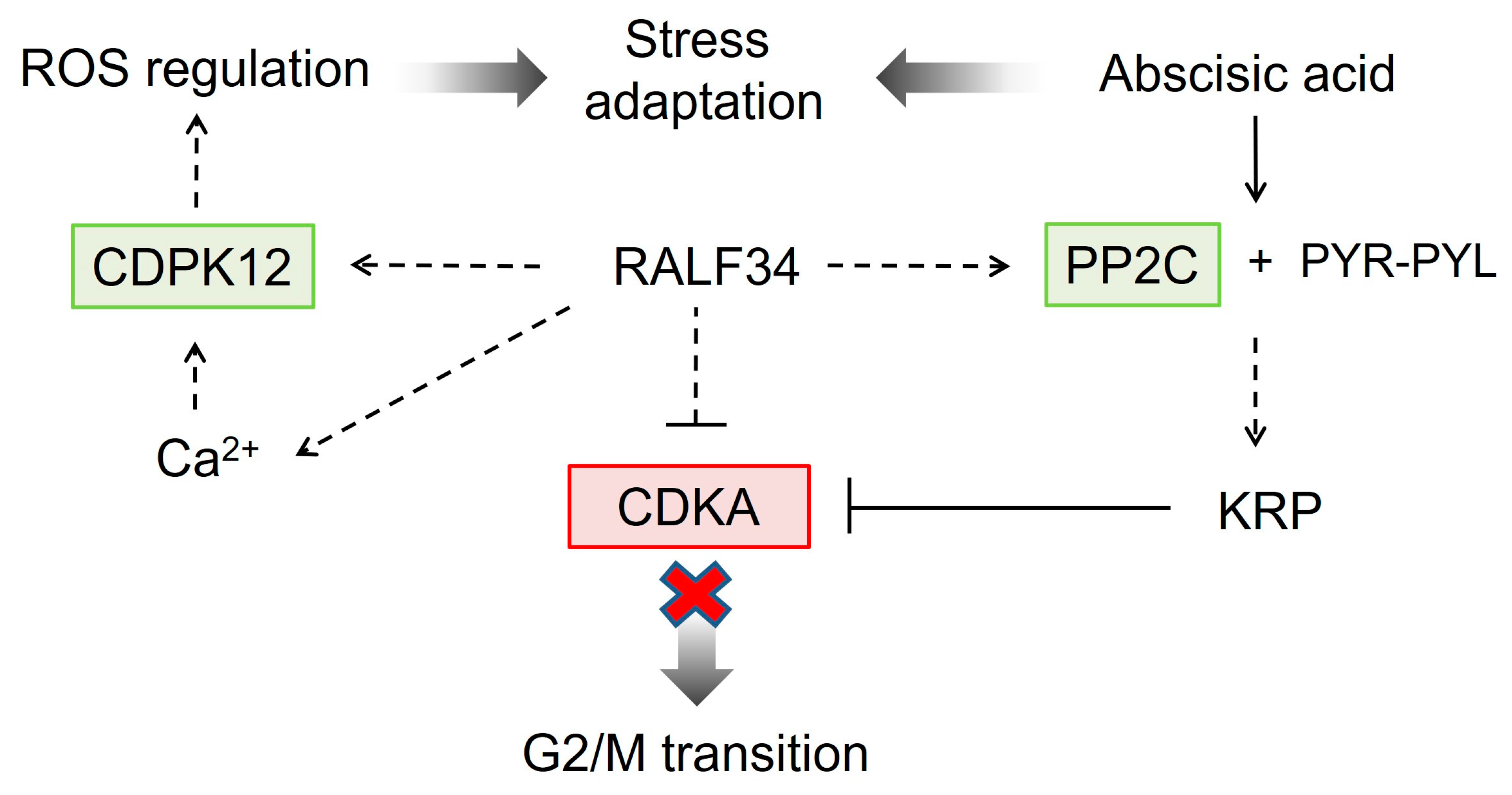 Ijms 24 07654 g010 Ijms 24 07654 g010