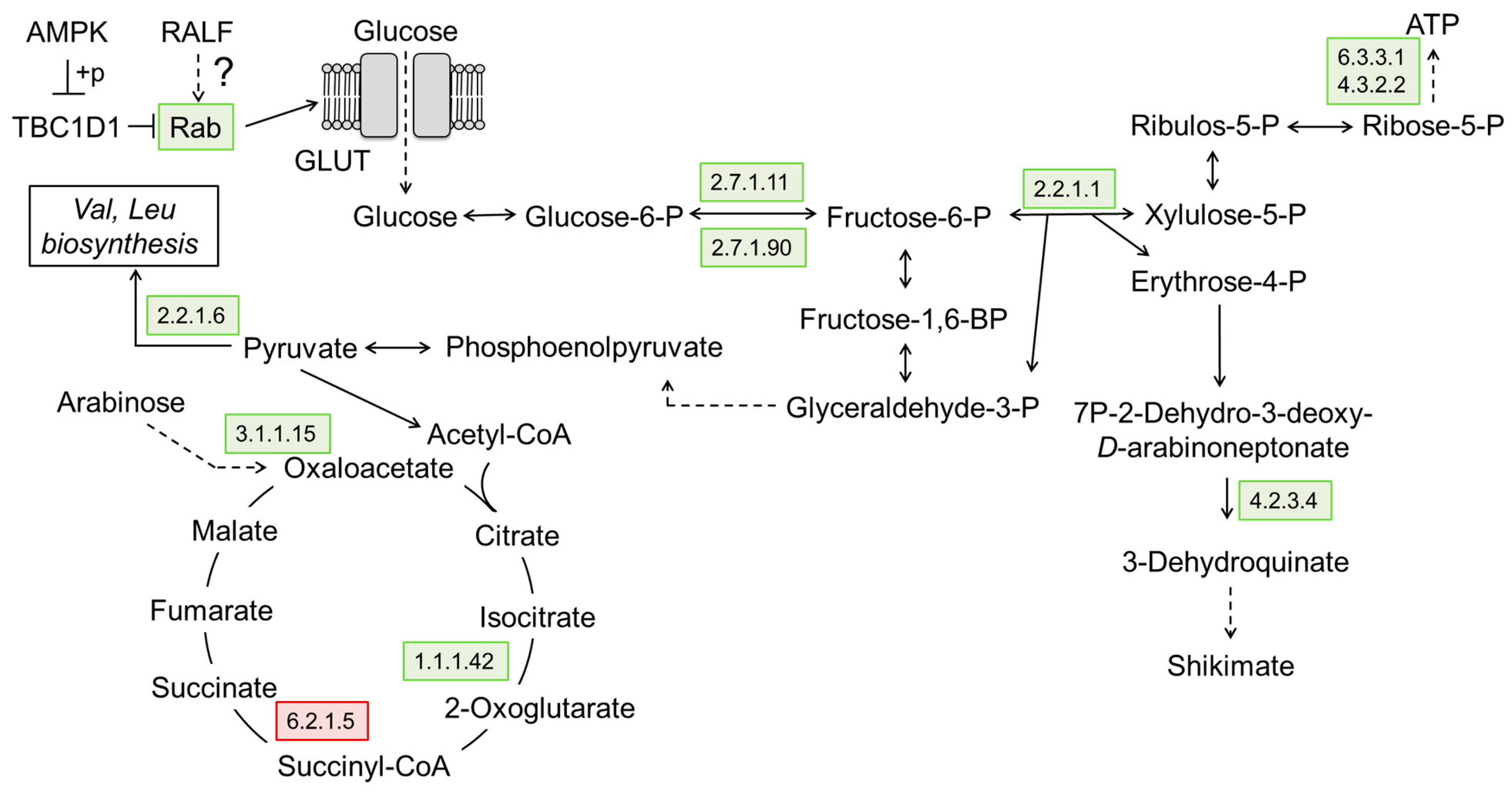 Ijms 24 07654 g011 Ijms 24 07654 g011