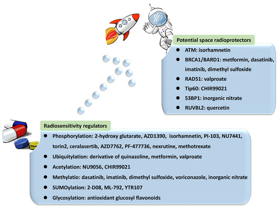 bpc 157 townsend leter Matt Kaeberlein, Ph.D. | Is there really a legal gray zone when it comes to prescribing or compounding peptides? Is there a war on peptides? I've spent the Letter from Representative Lane Evans