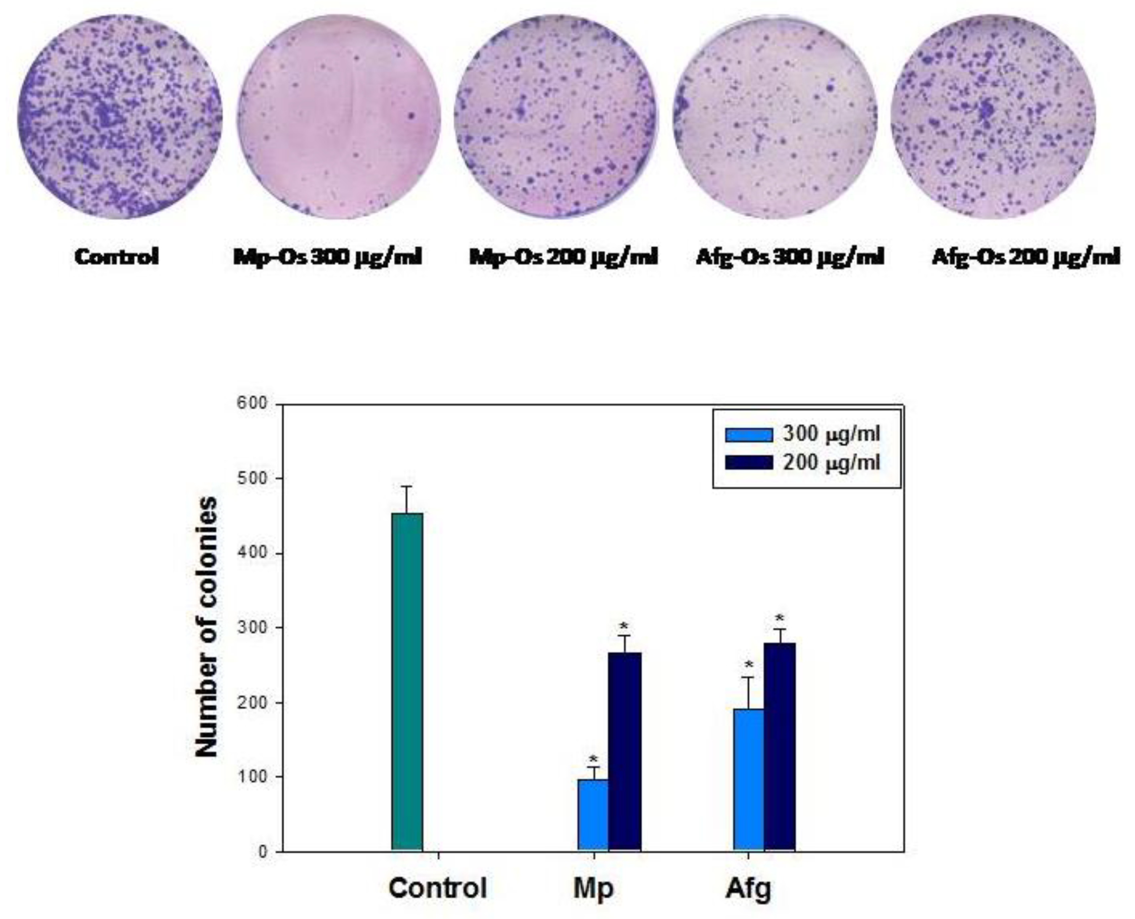 Ijms 24 07657 g004 Ijms 24 07657 g004