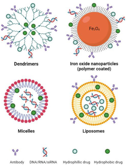 Nanoporous TiNb2O7/C Composite Microspheres with Three