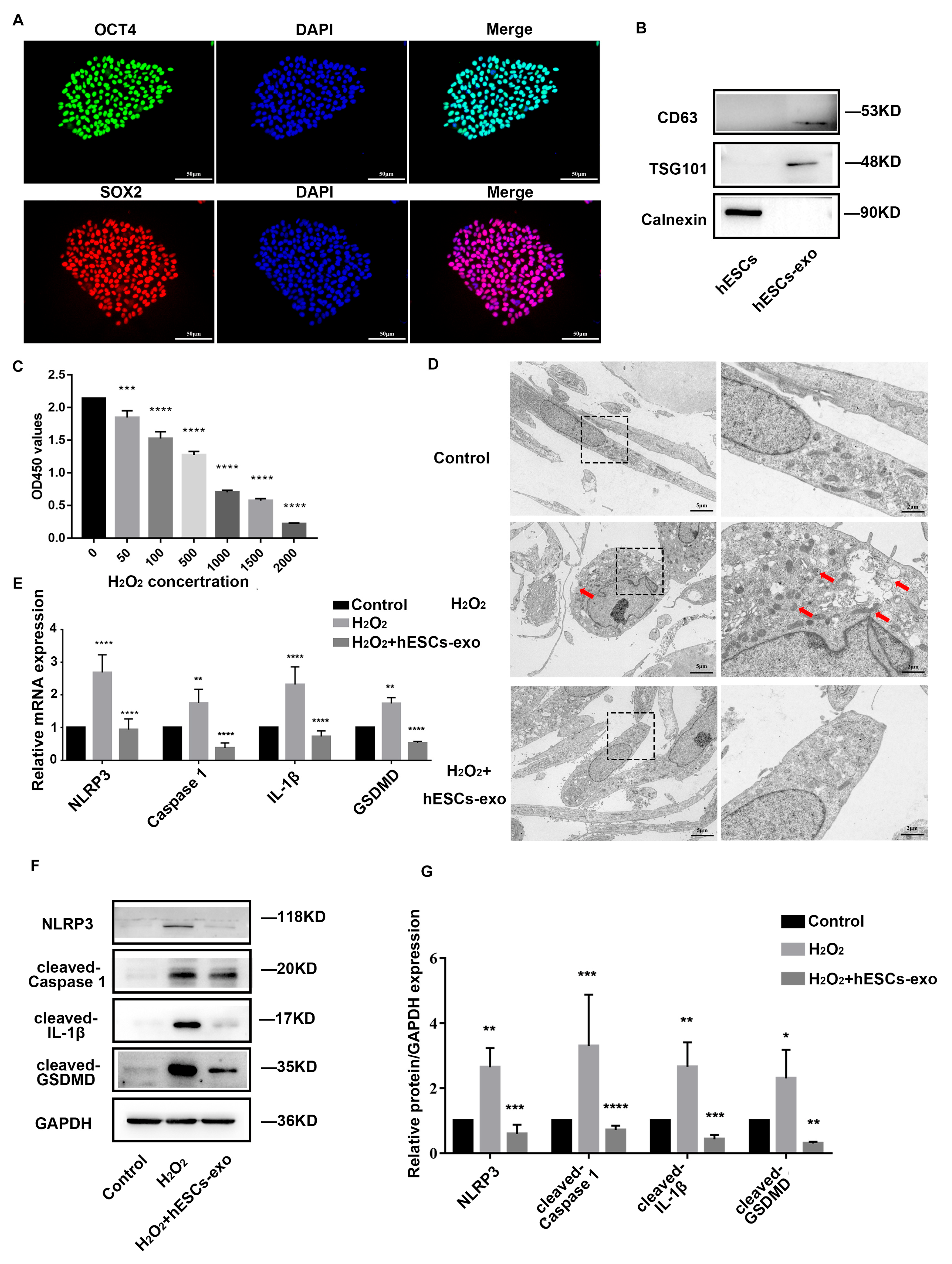 Ijms 24 07664 g002 Ijms 24 07664 g002