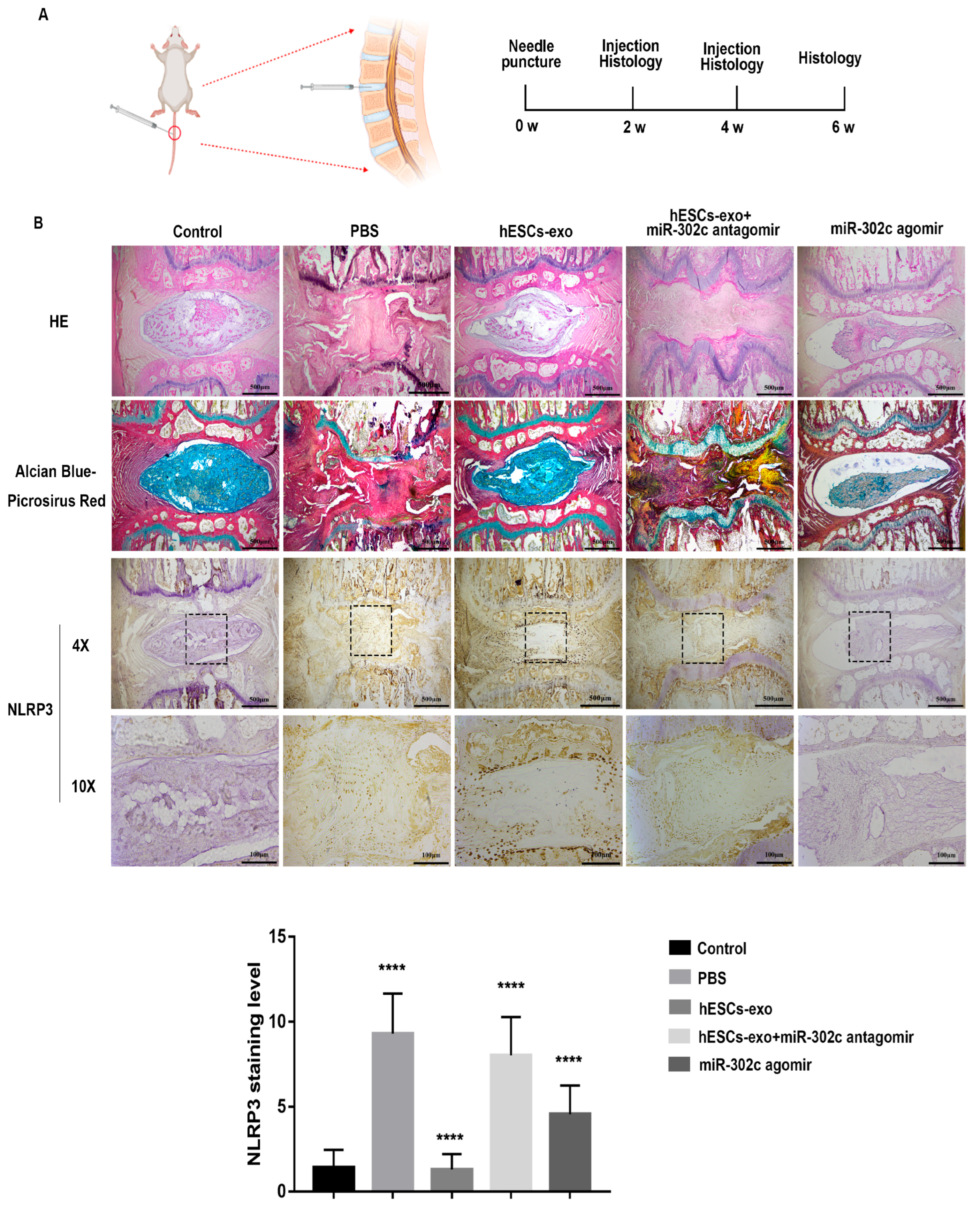 Ijms 24 07664 g004 Ijms 24 07664 g004