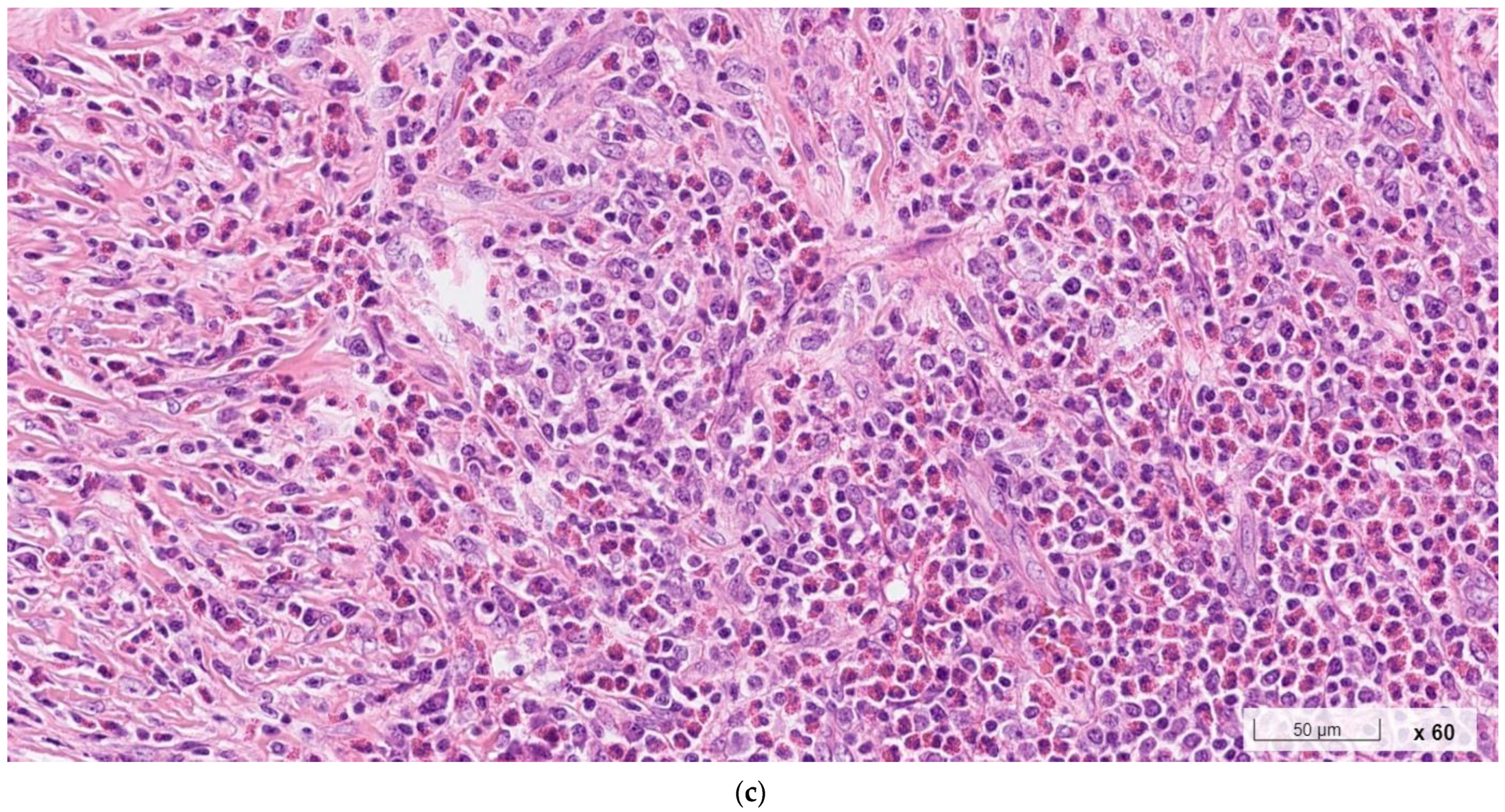 Ijms 24 07666 g001b Ijms 24 07666 g001b