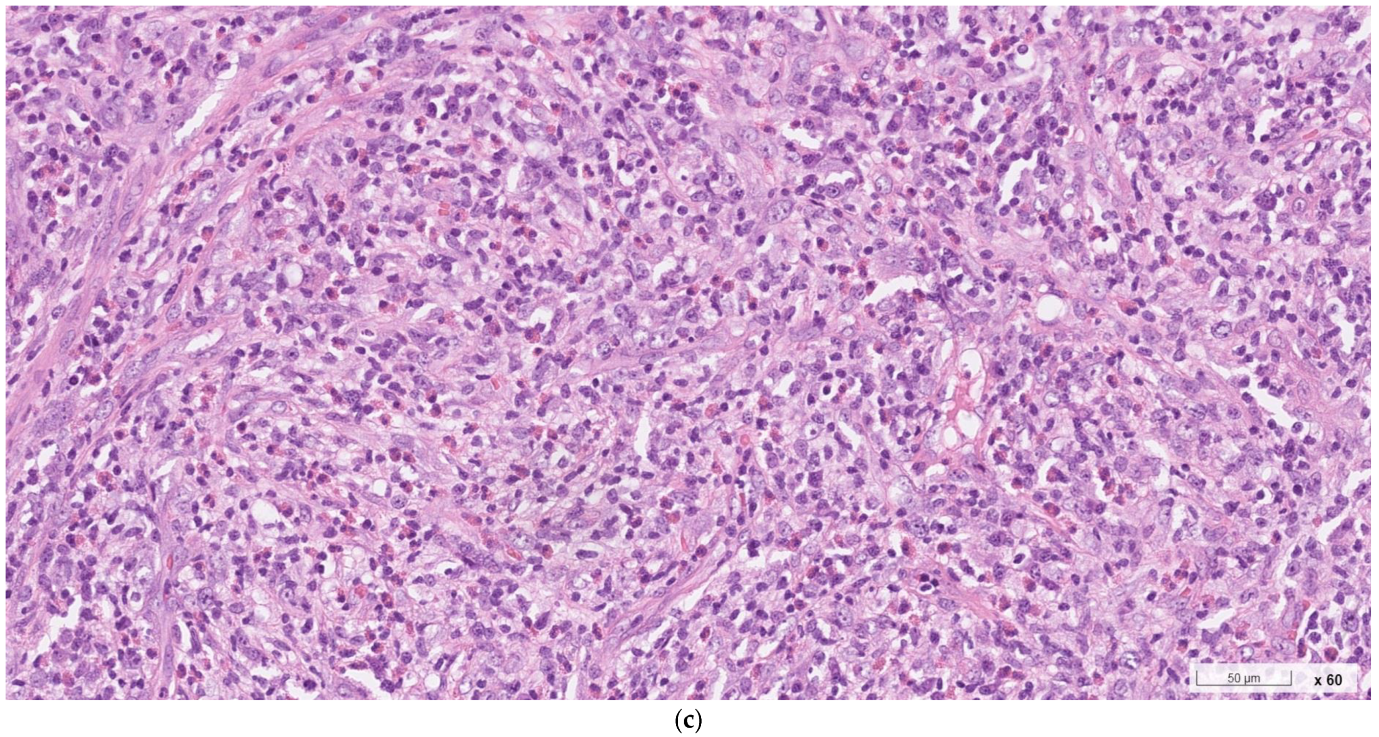 Ijms 24 07666 g002b Ijms 24 07666 g002b