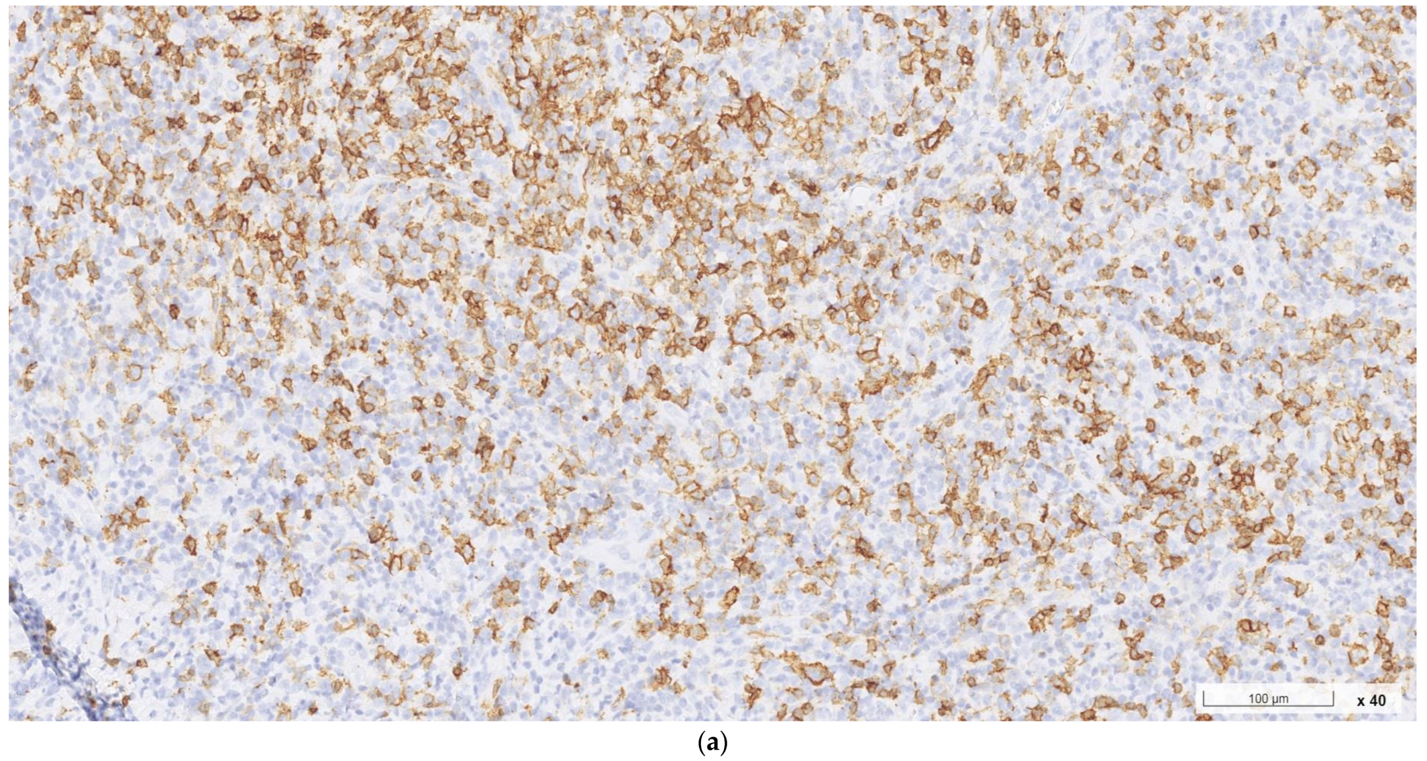 Ijms 24 07666 g003a Ijms 24 07666 g003a