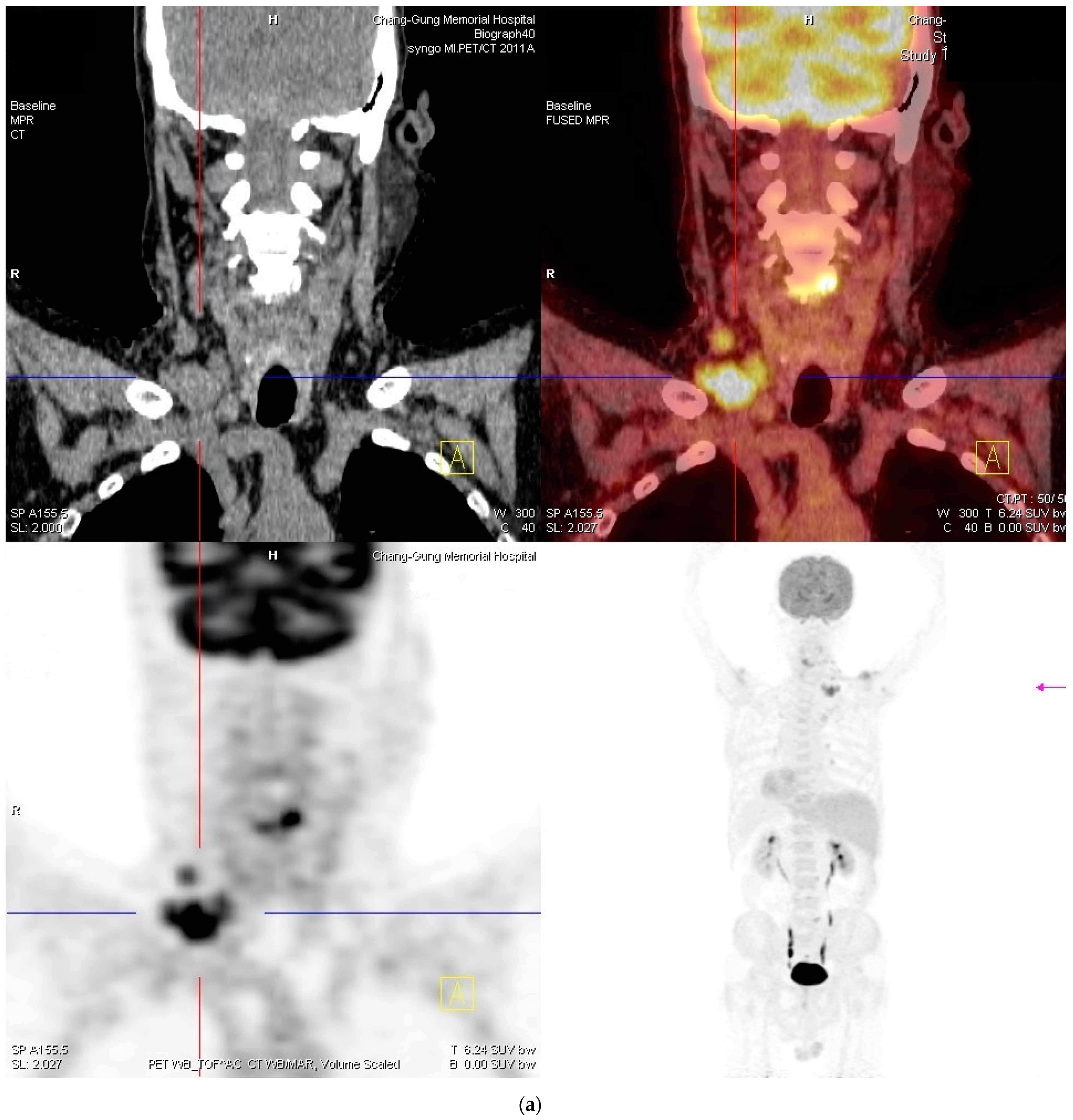 Ijms 24 07666 g004a Ijms 24 07666 g004a