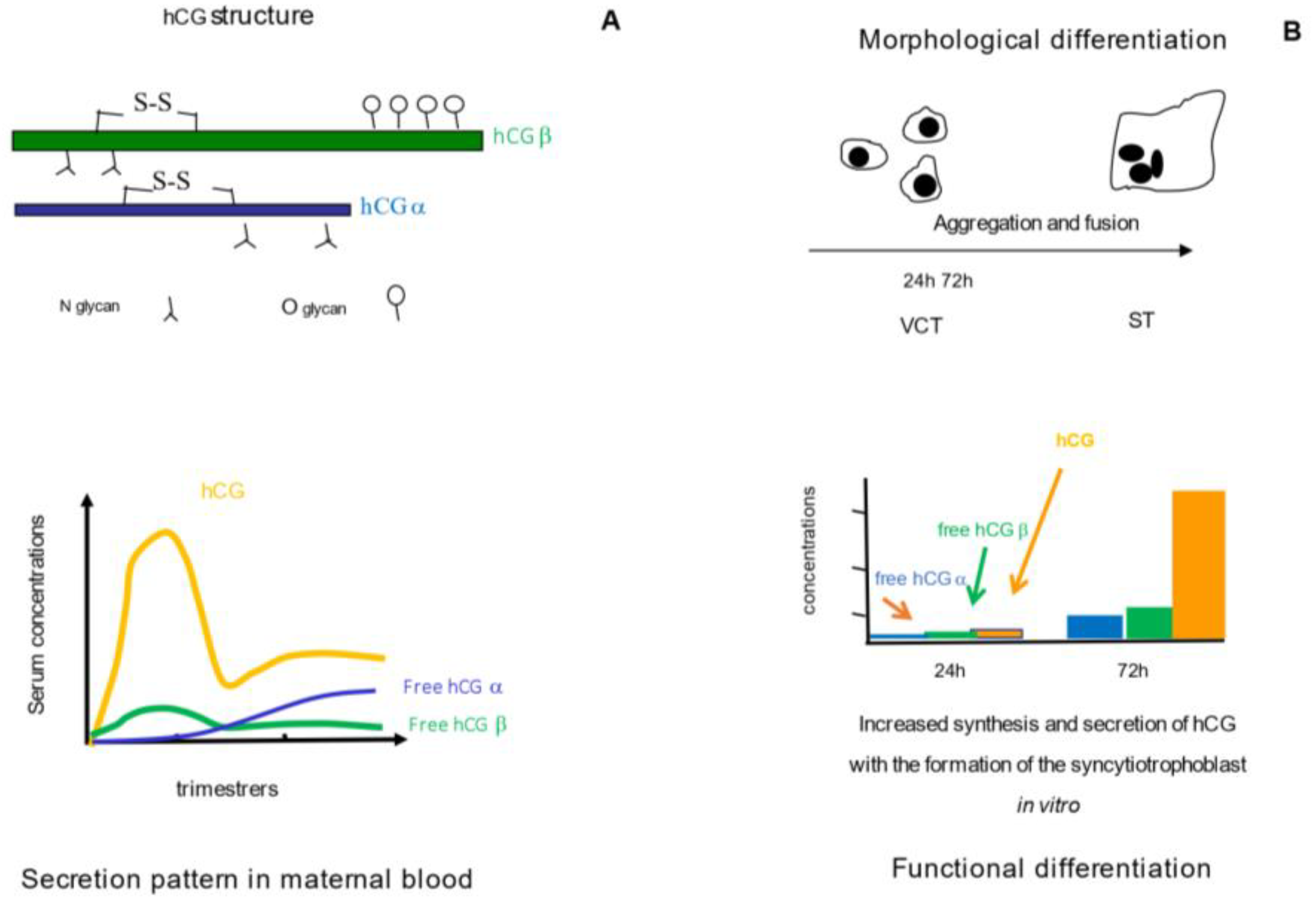 Ijms 24 07669 g001 Ijms 24 07669 g001