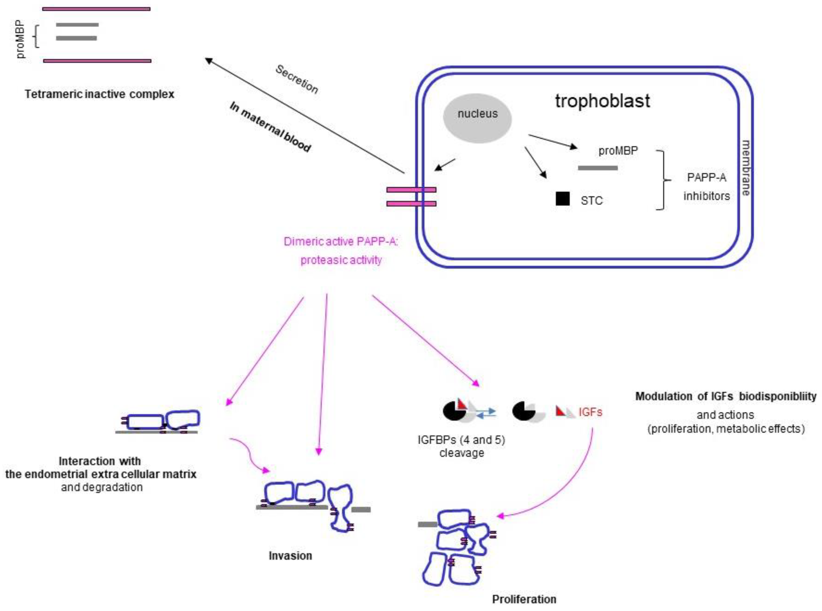 Ijms 24 07669 g003 Ijms 24 07669 g003