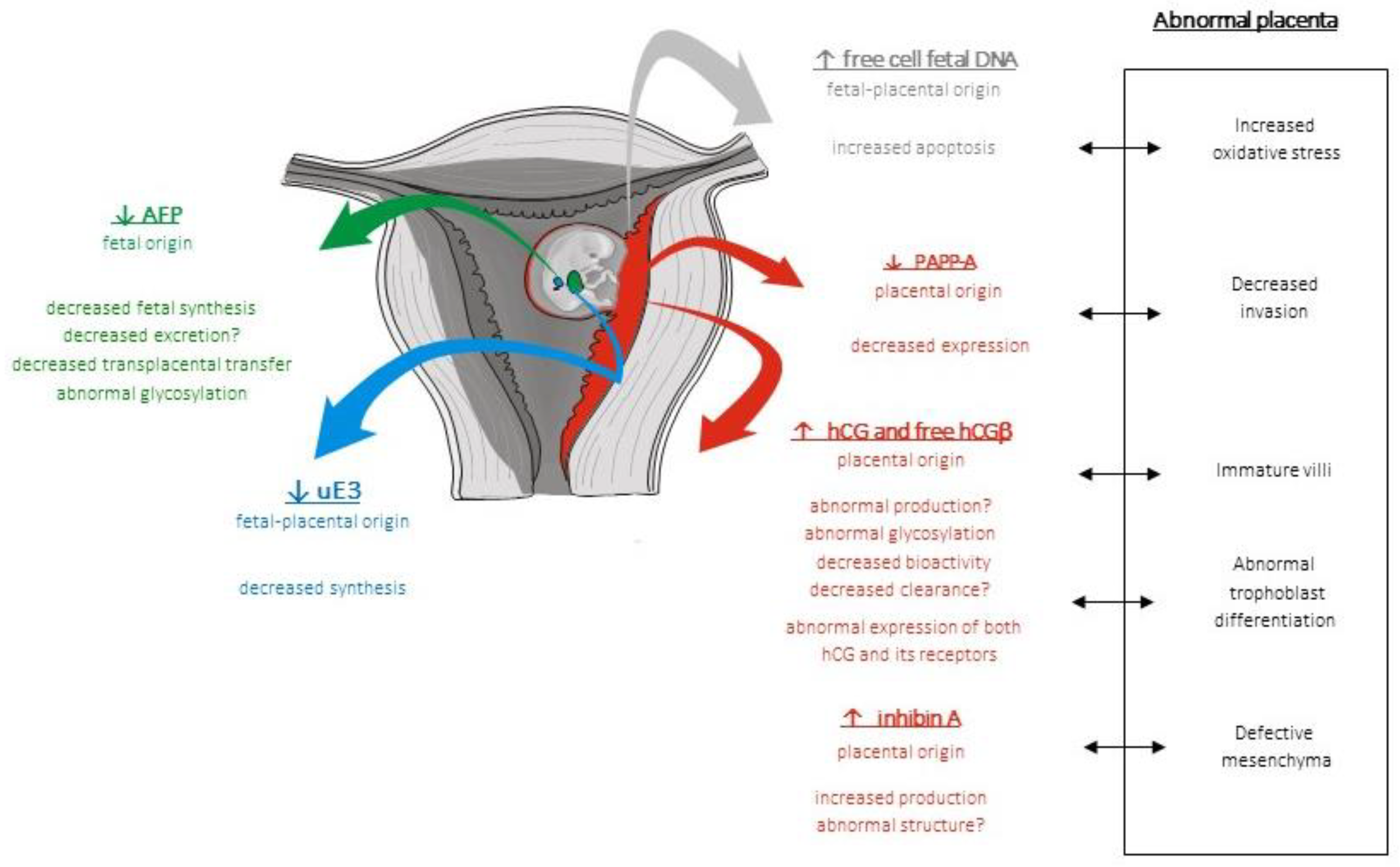 Ijms 24 07669 g006 Ijms 24 07669 g006