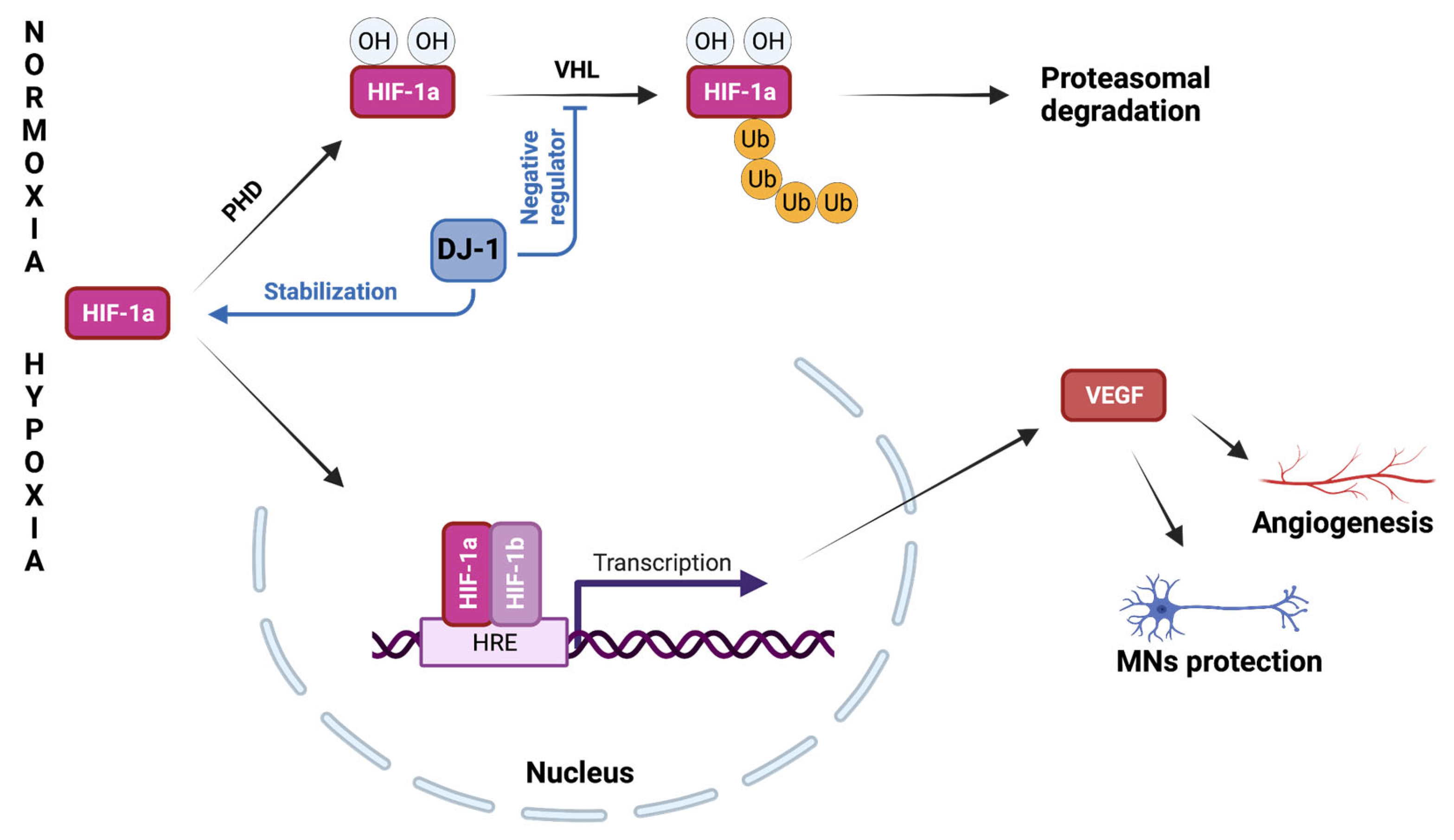 Ijms 24 07674 g002 Ijms 24 07674 g002