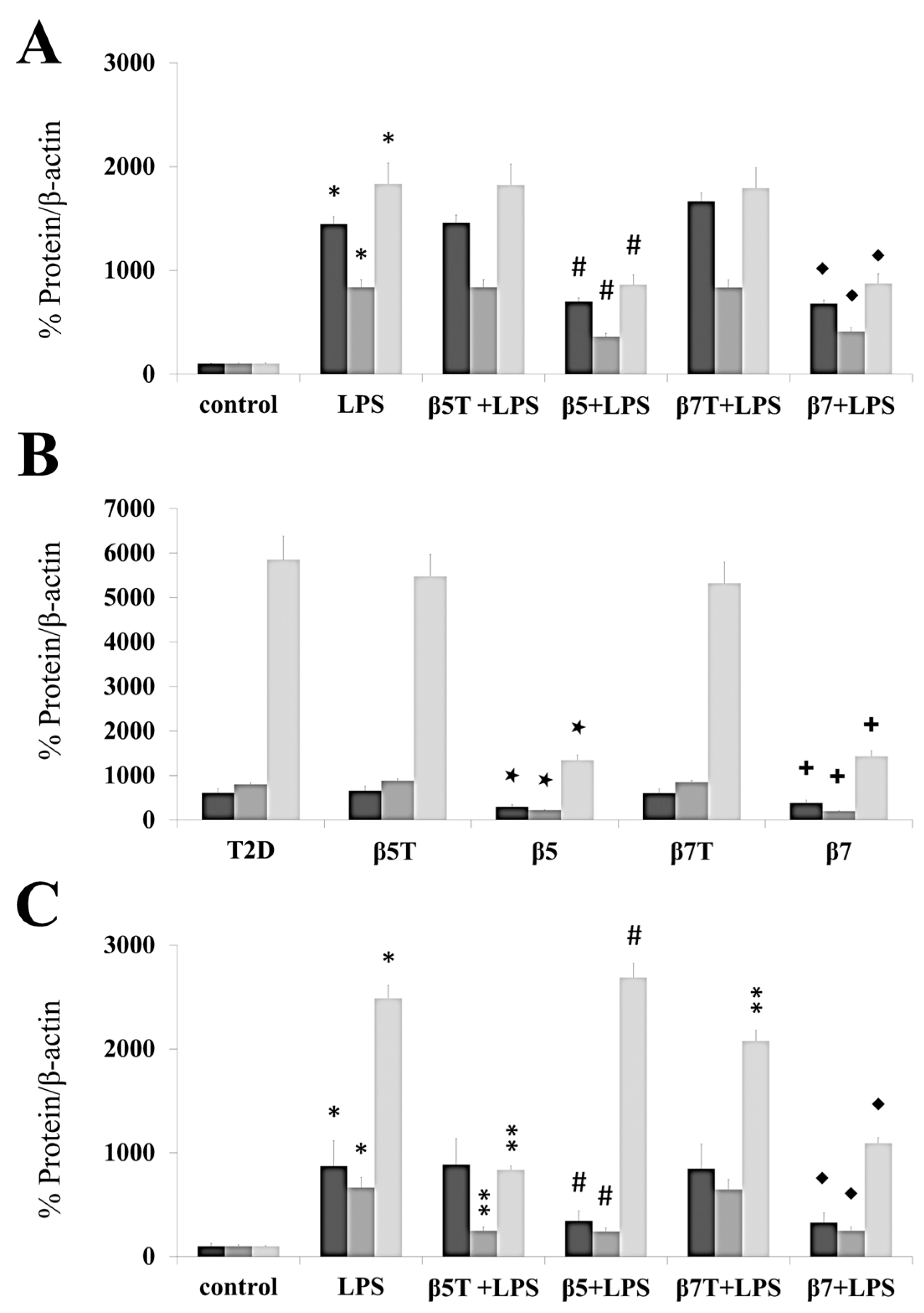 Ijms 24 07676 g003 Ijms 24 07676 g003