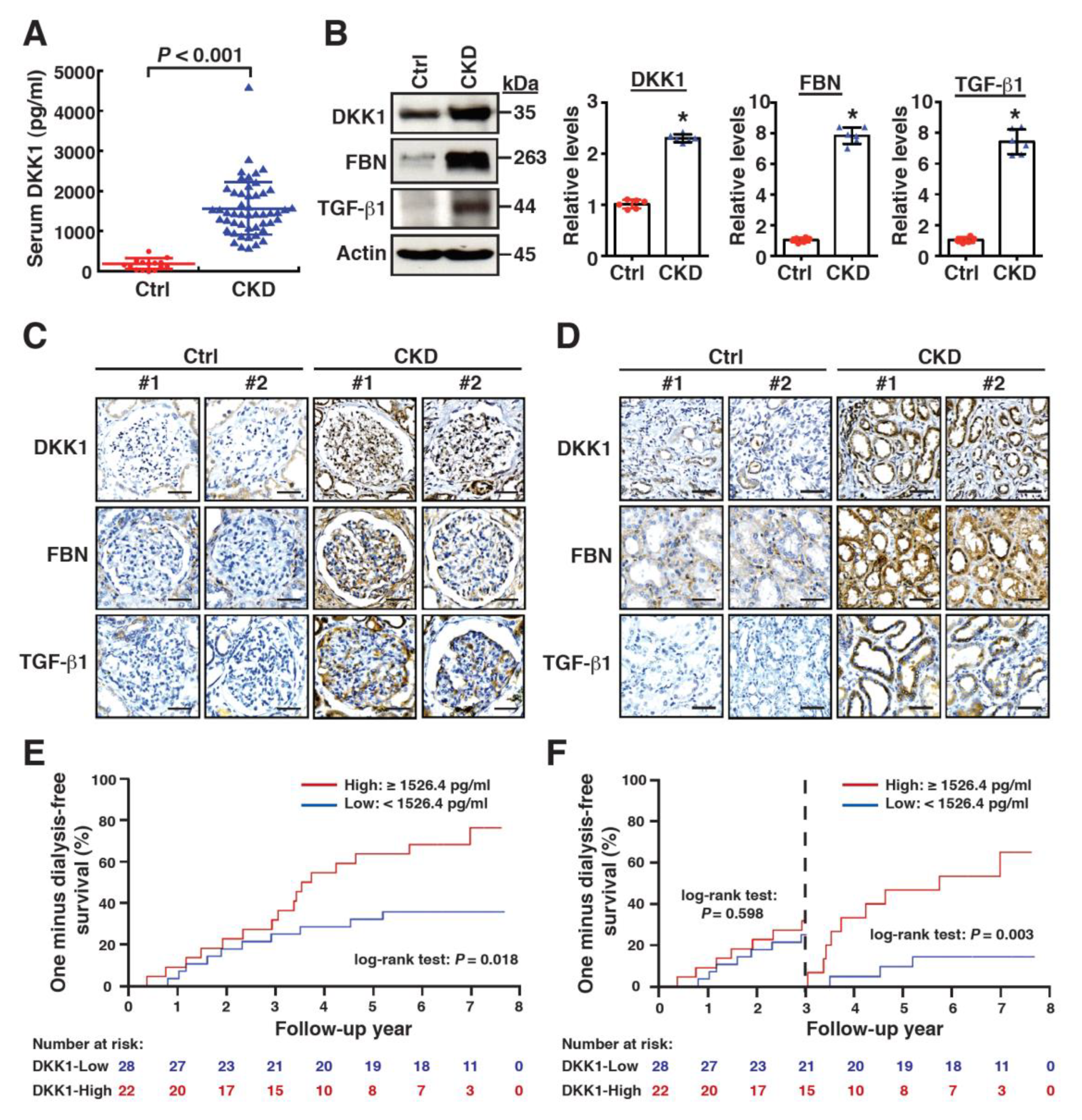 Ijms 24 07679 g001 Ijms 24 07679 g001