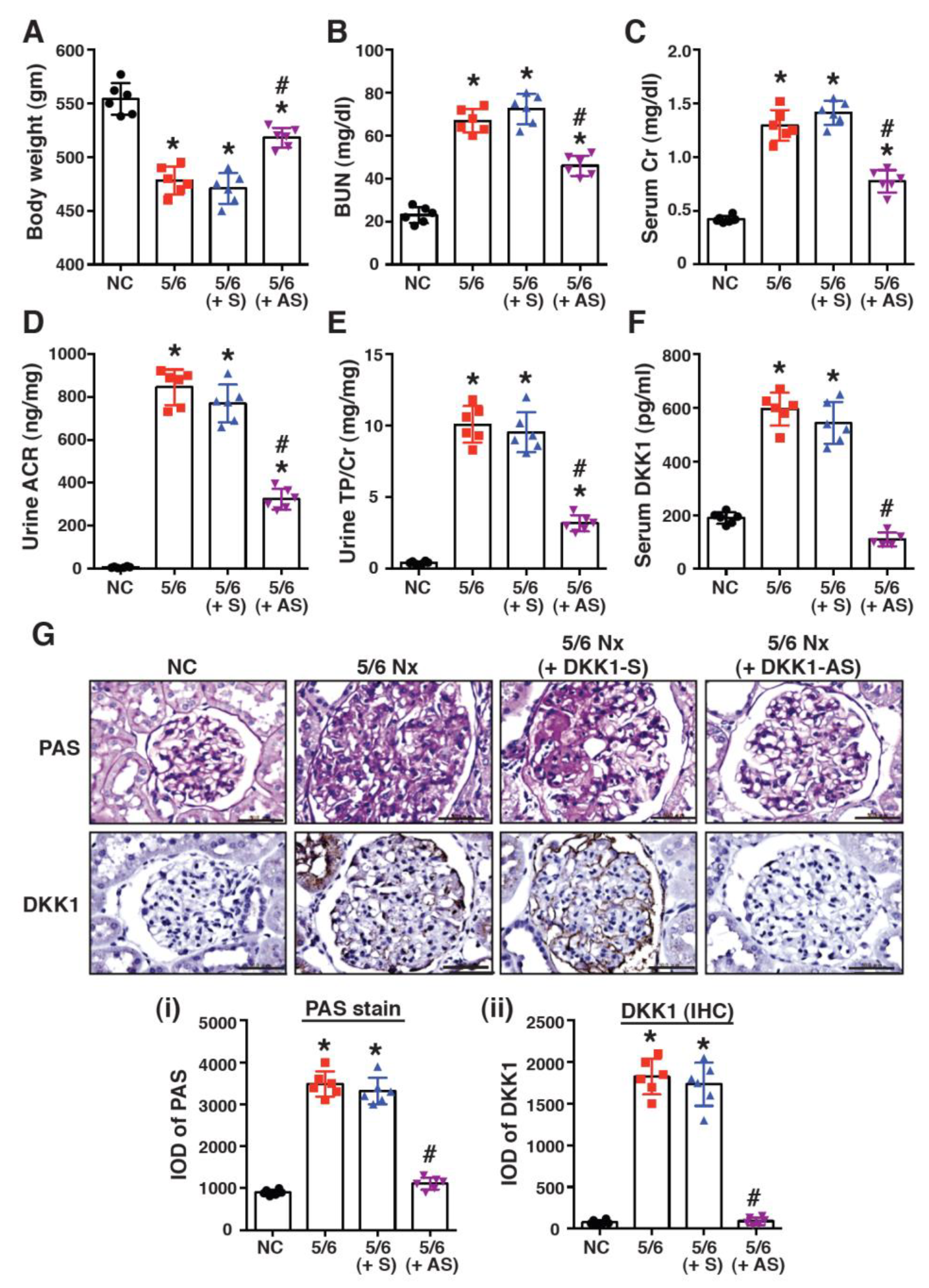 Ijms 24 07679 g002 Ijms 24 07679 g002