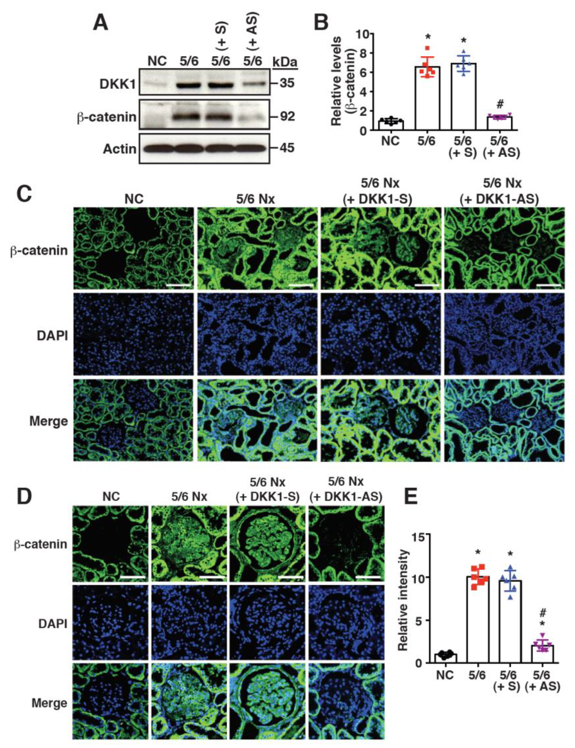 Ijms 24 07679 g004 Ijms 24 07679 g004
