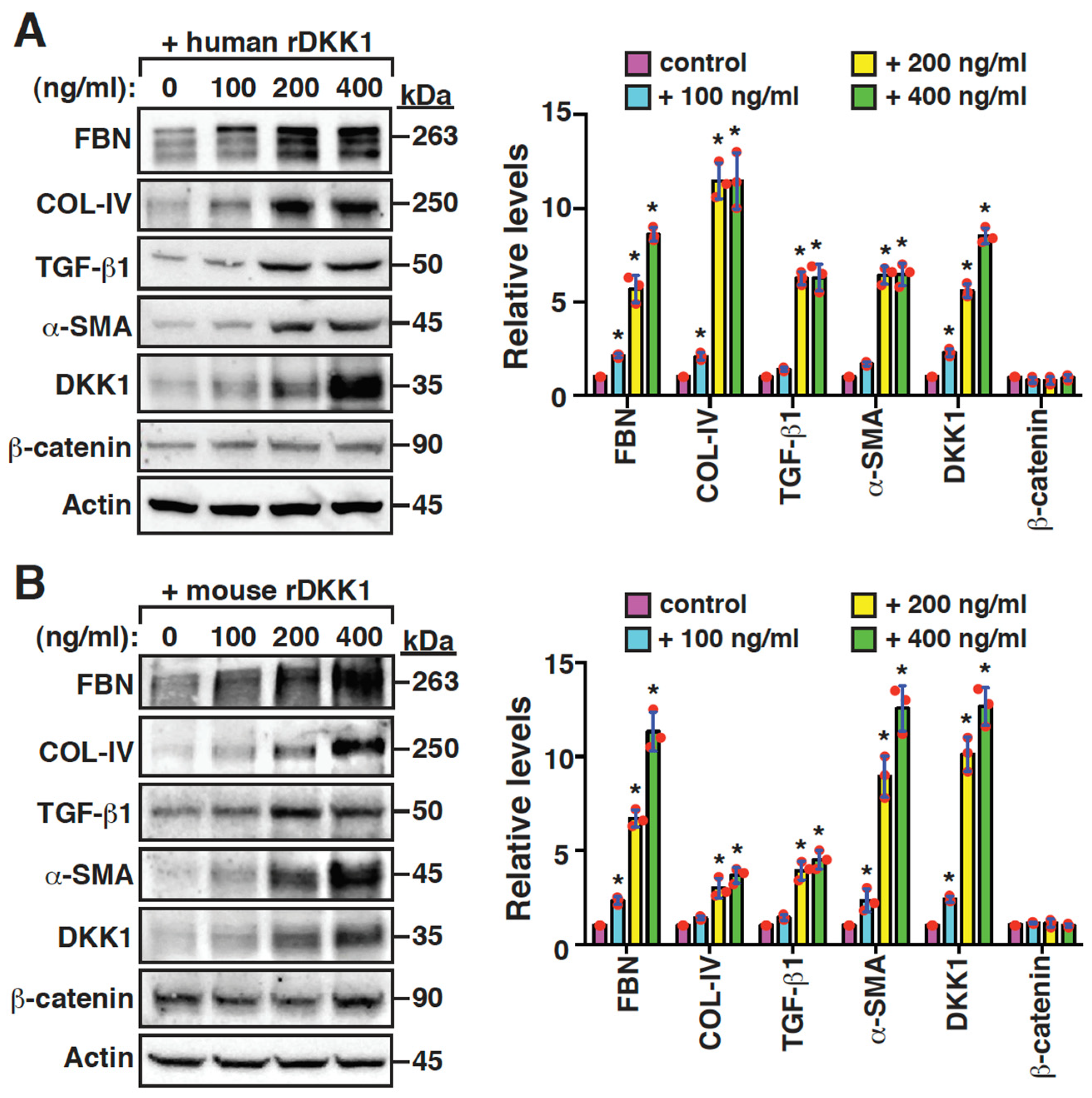 Ijms 24 07679 g006a Ijms 24 07679 g006a