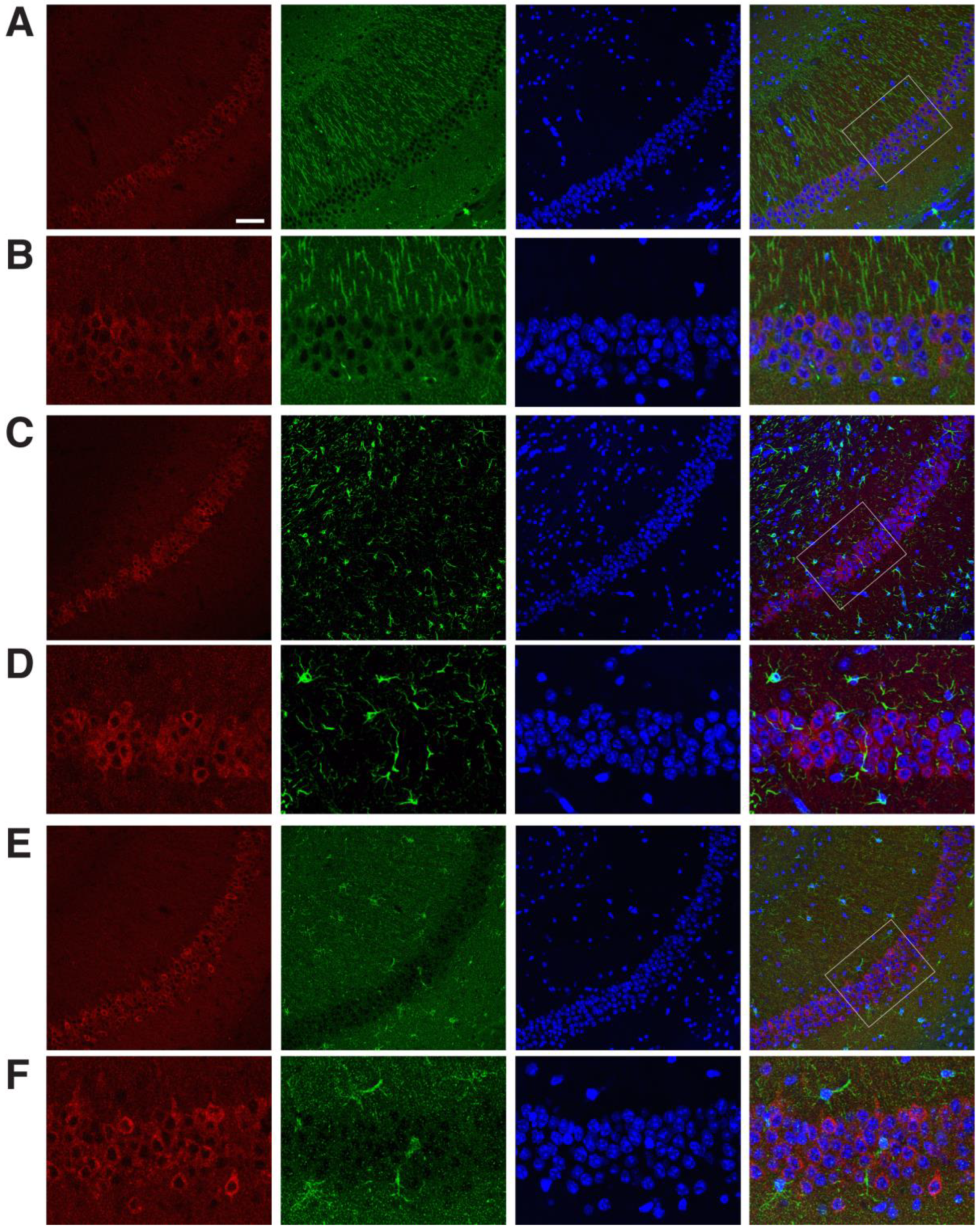 Ijms 24 07690 g002 Ijms 24 07690 g002