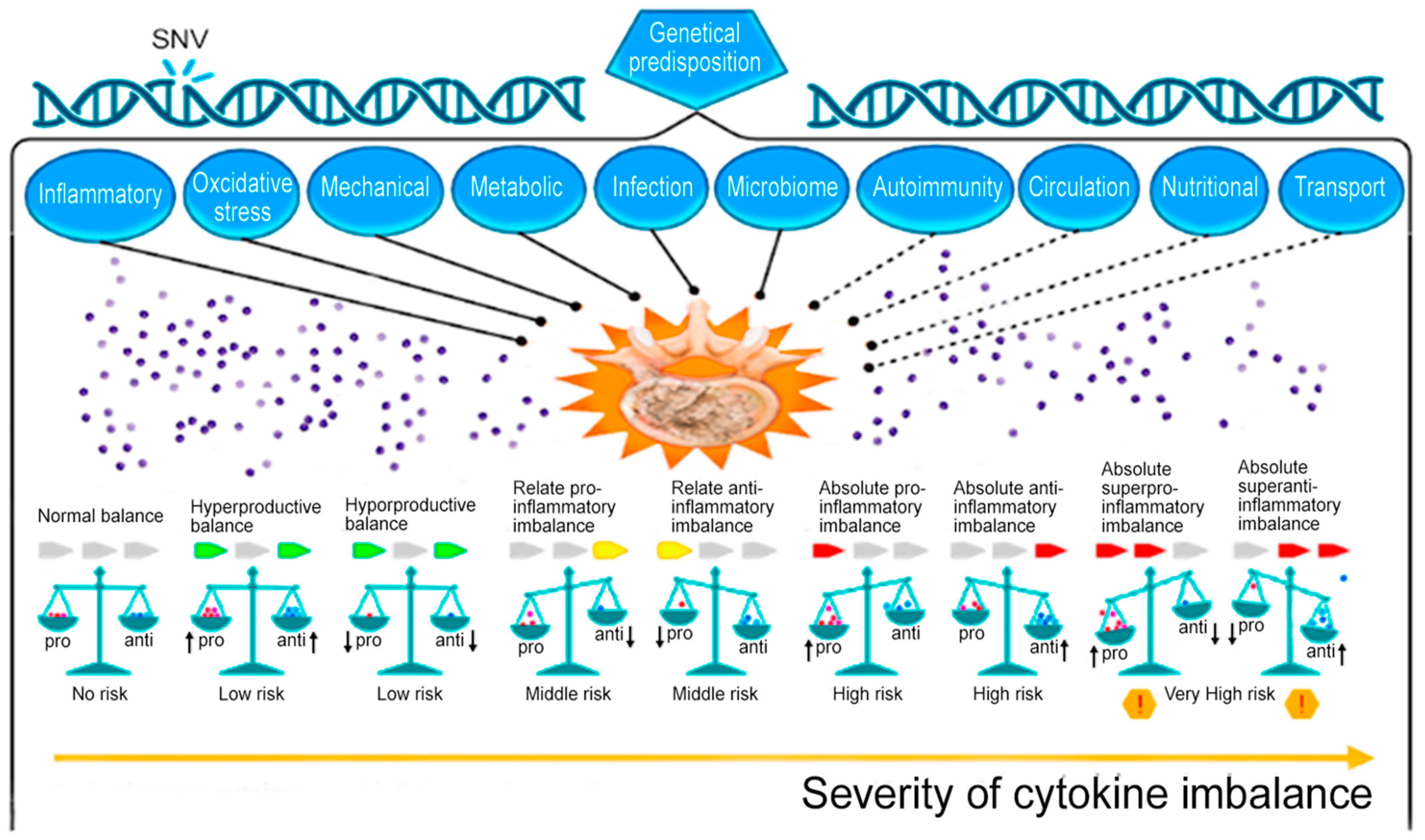 IJMS | Free Full-Text | Molecular Basic of Pharmacotherapy of 