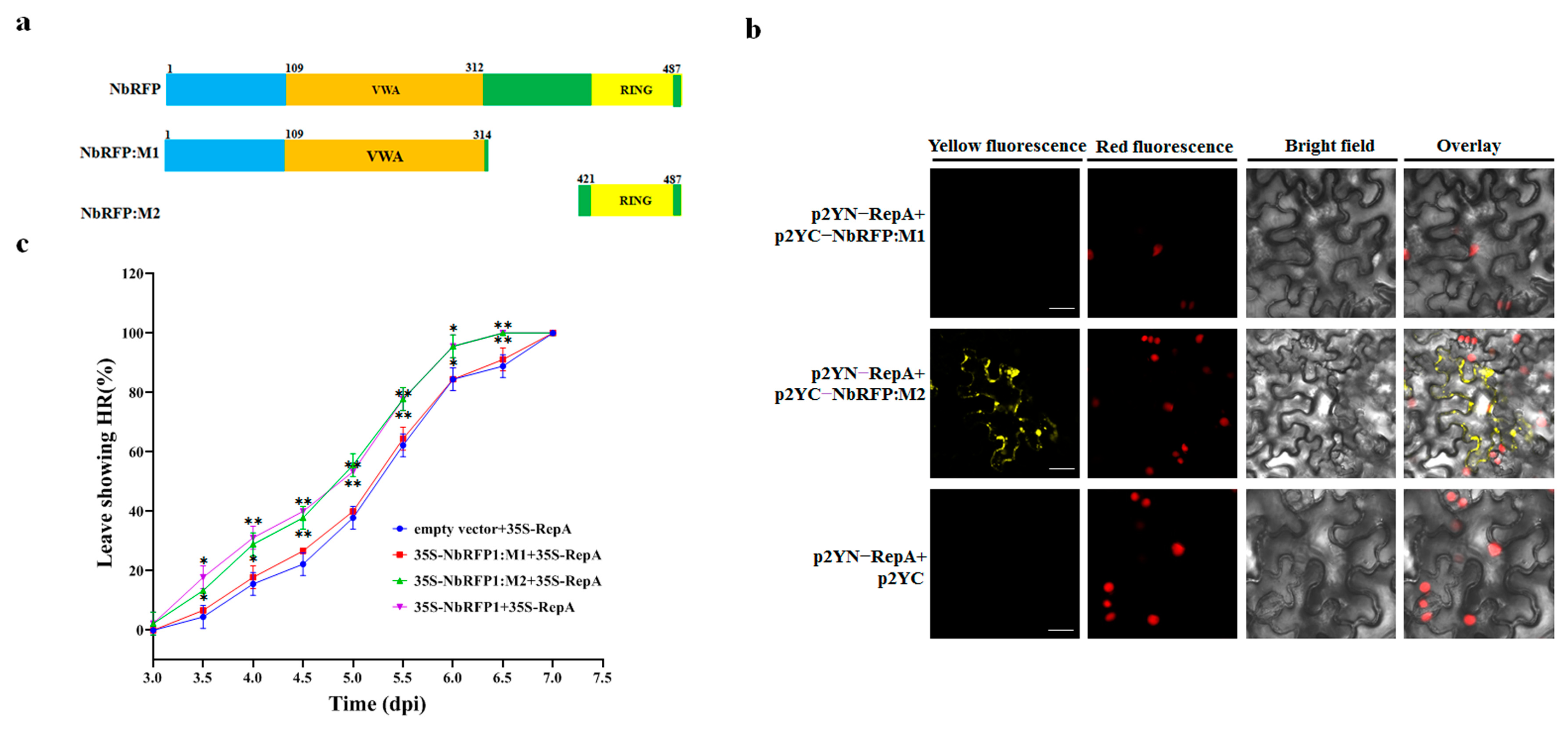 Ijms 24 07697 g007 Ijms 24 07697 g007