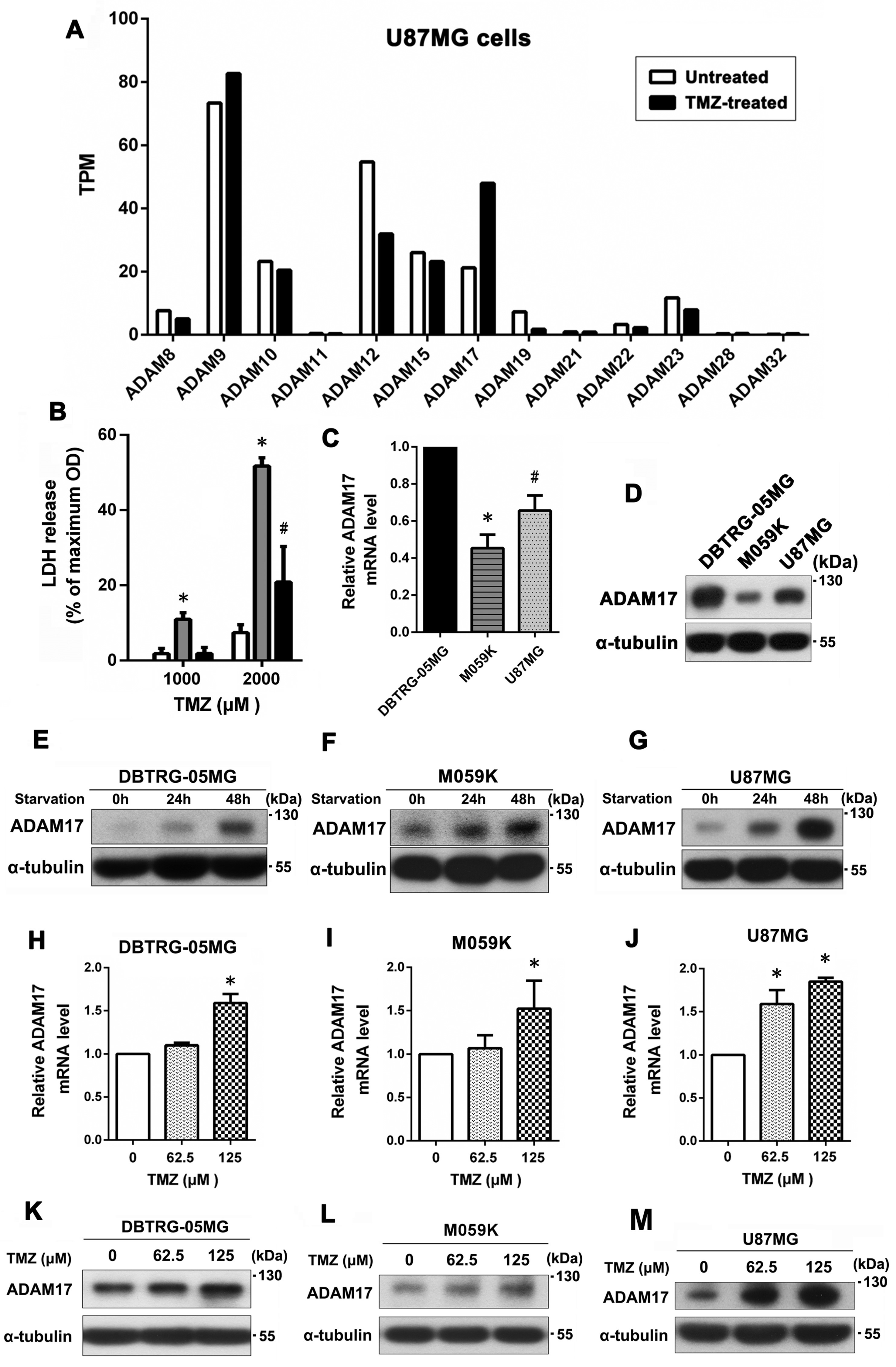 Ijms 24 07703 g001 Ijms 24 07703 g001