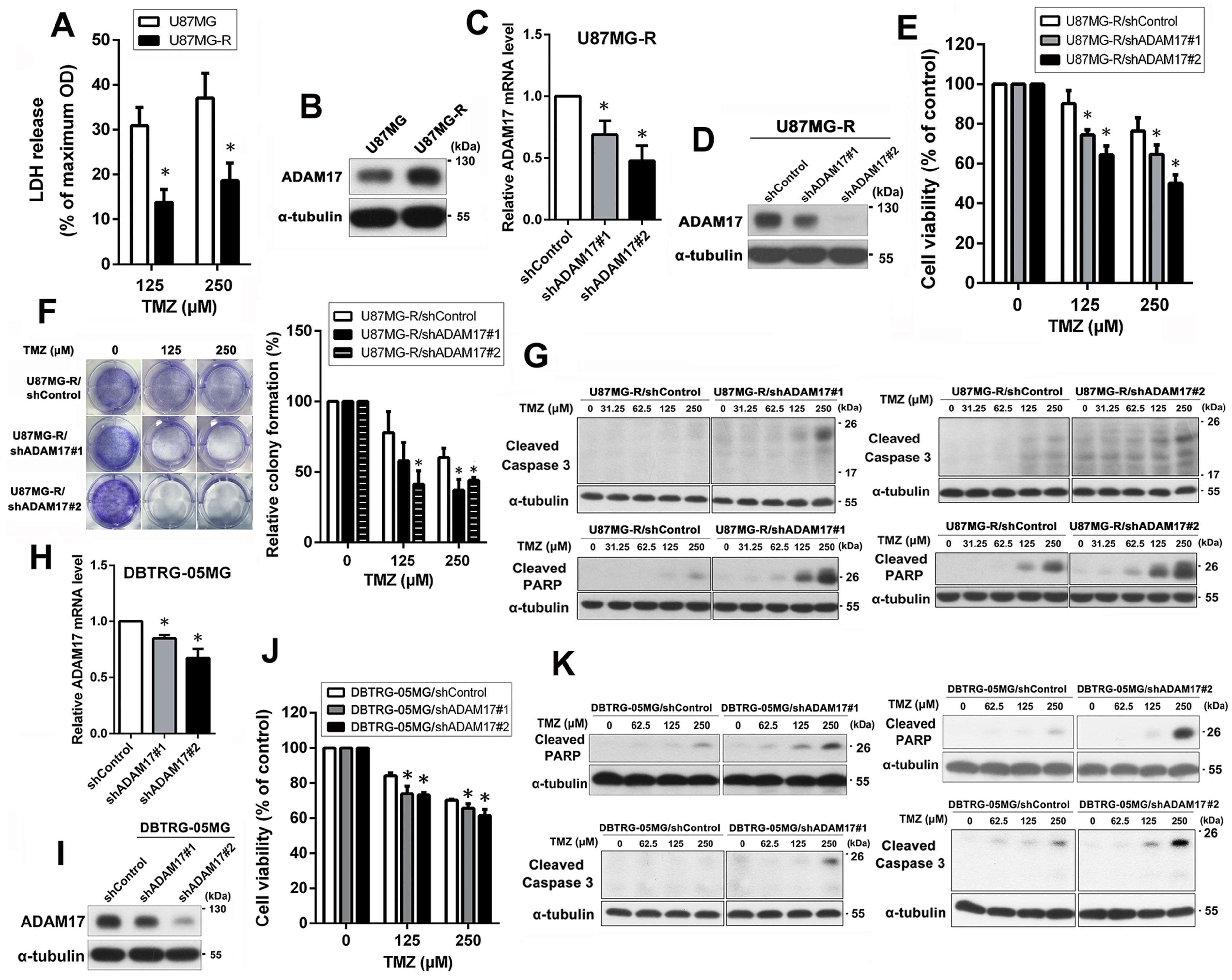 Ijms 24 07703 g002 Ijms 24 07703 g002