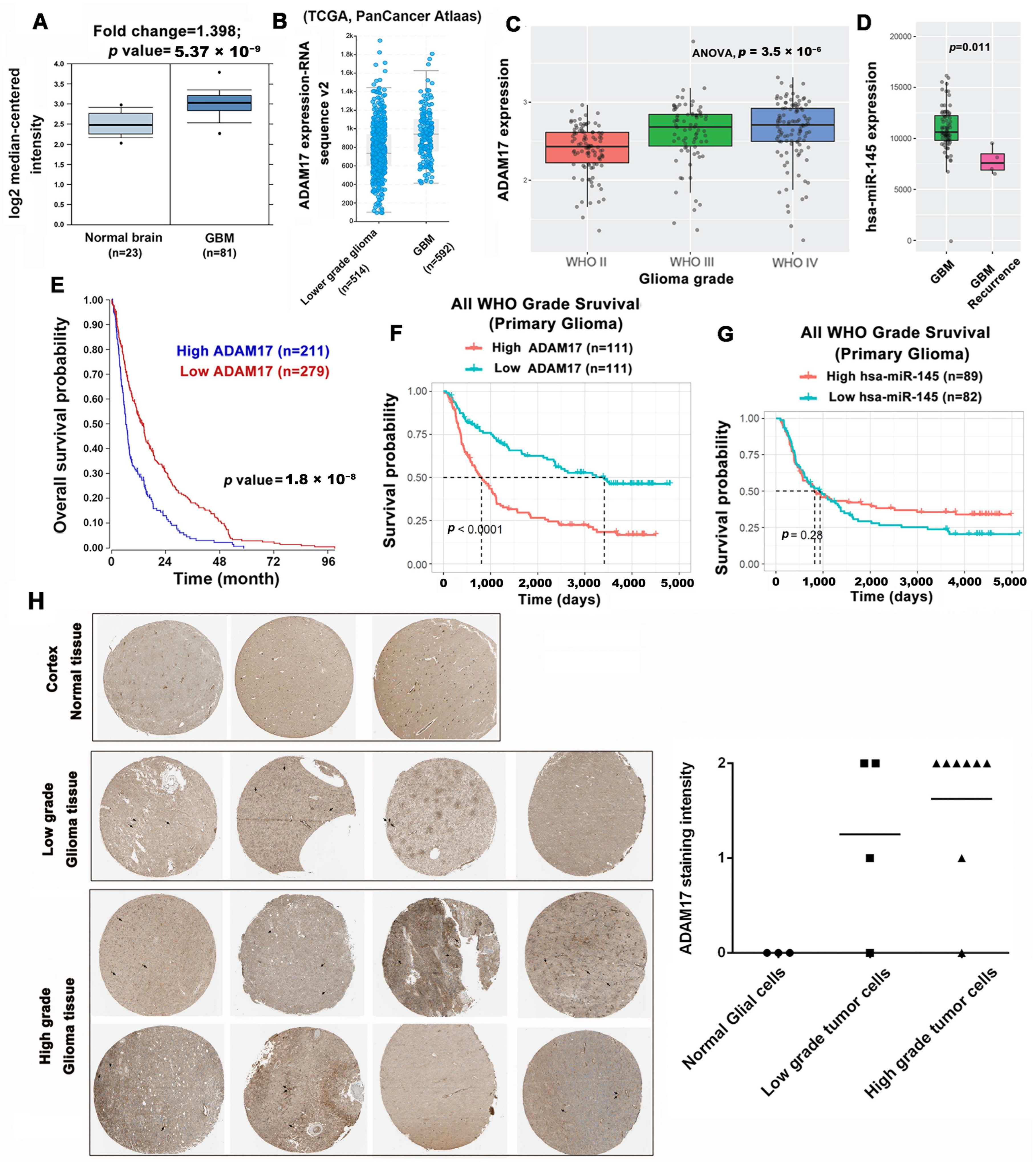 Ijms 24 07703 g004 Ijms 24 07703 g004