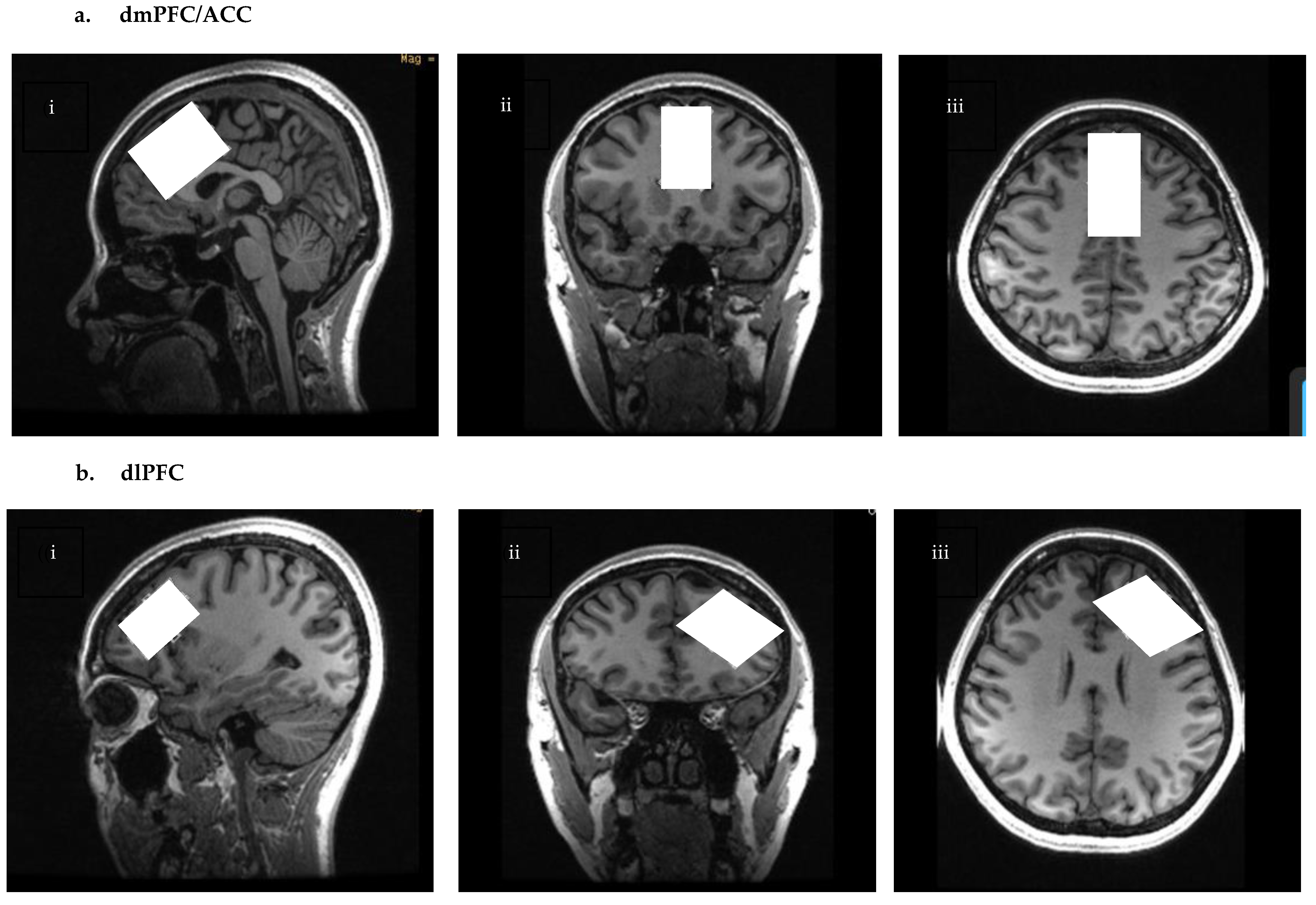 Ijms 24 07713 g007 Ijms 24 07713 g007