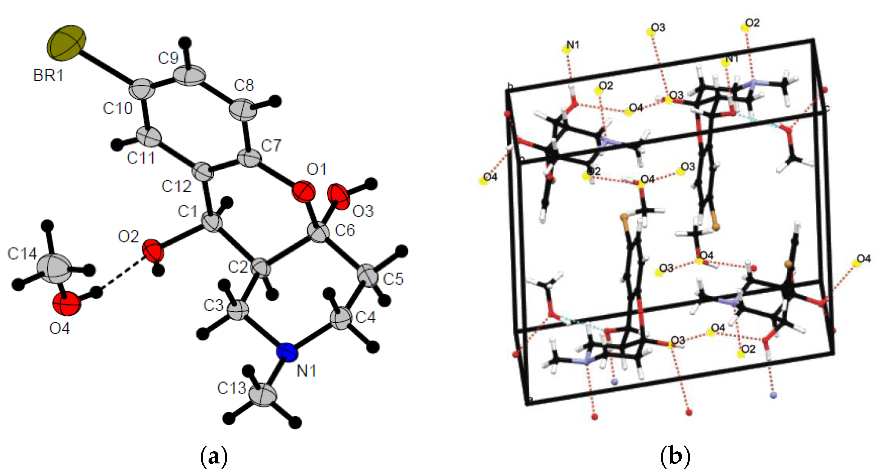 Ijms 24 07724 g002 Ijms 24 07724 g002