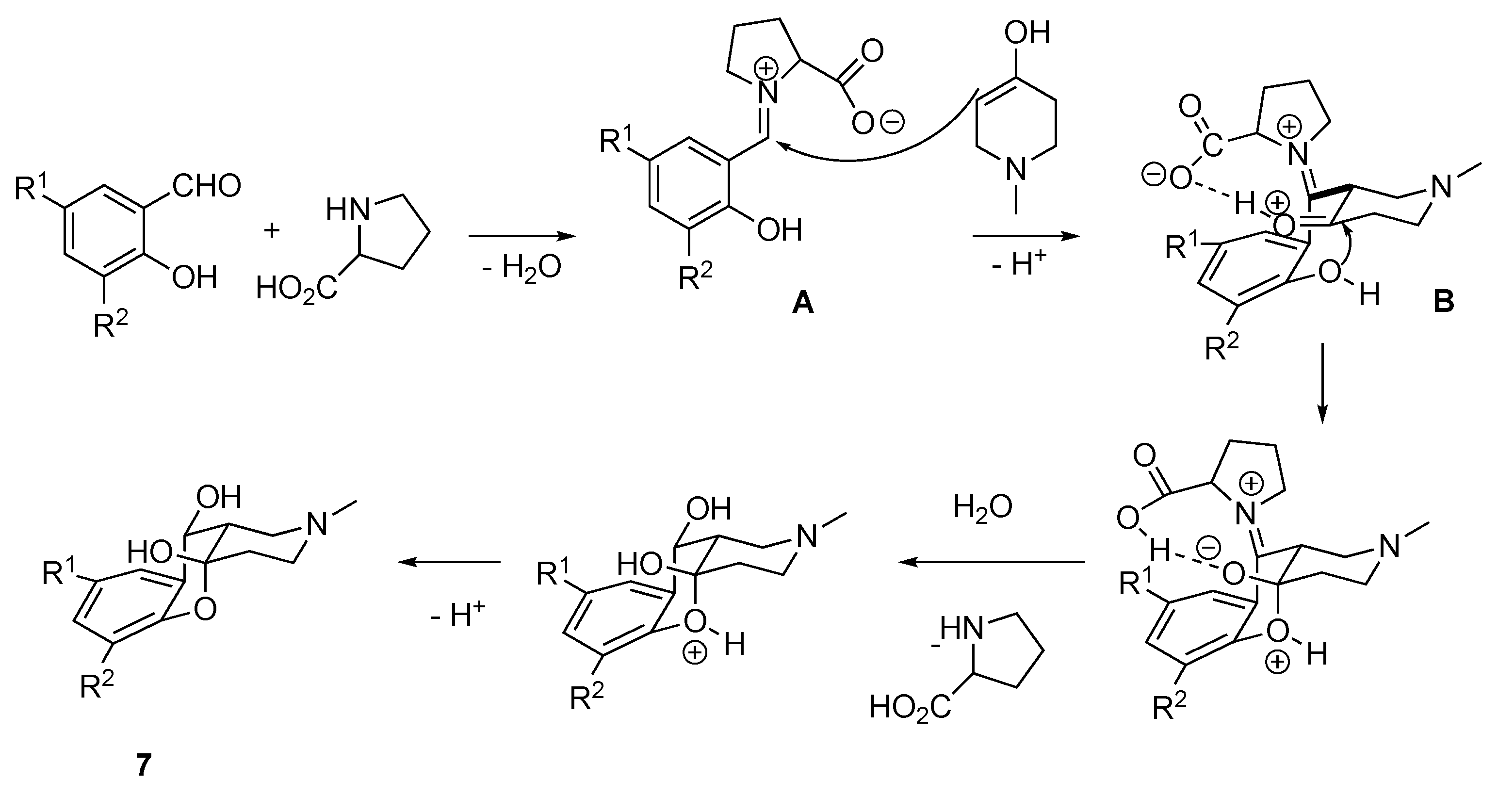 Ijms 24 07724 sch008 Ijms 24 07724 sch008