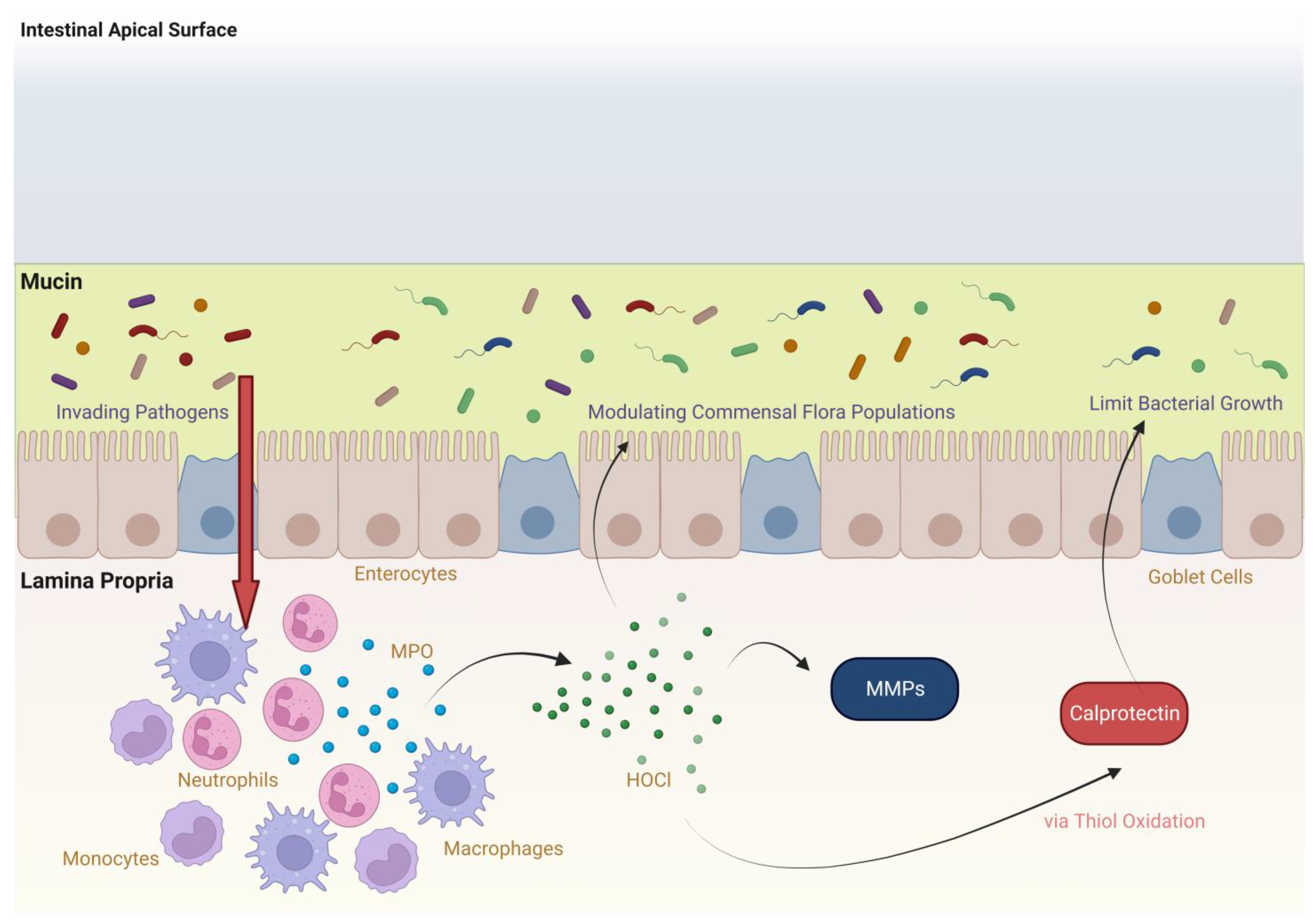 Ijms 24 07725 g001 Ijms 24 07725 g001