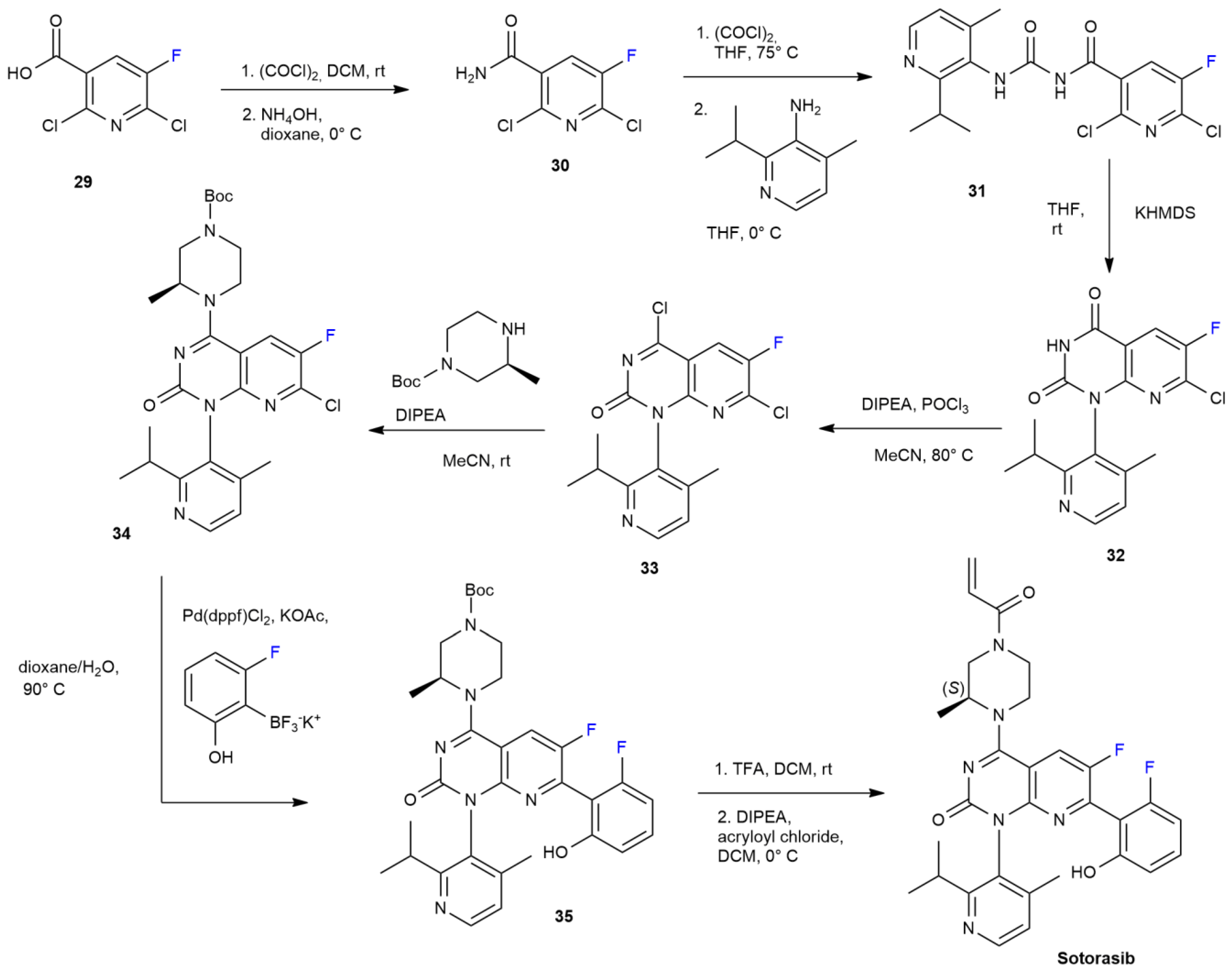 Ijms 24 07728 sch006 Ijms 24 07728 sch006